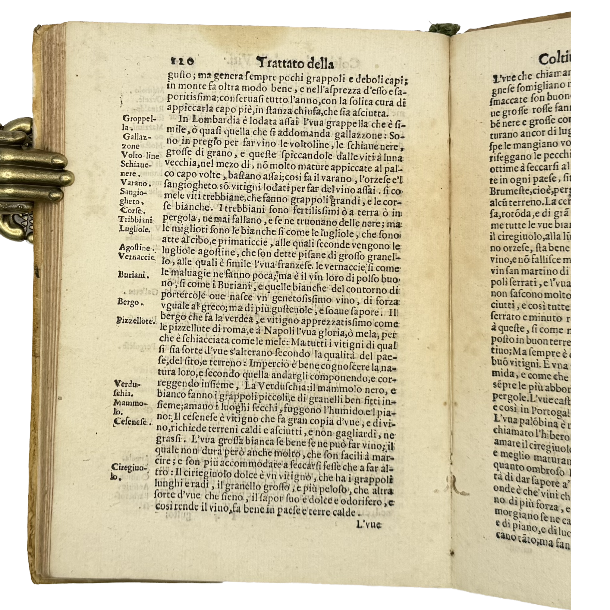 Trattato Della Coltivazione Delle Viti by Soderini, Gioanvettorio; Davanzati Bostichi, Bernardo, a rare interesting detail of the 1610 - wine book.