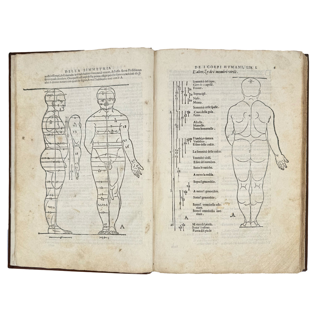 Della simmetria dei corpi humani by Dürer, Albrecht: a scarce illustrative detail of the 1591 illustrated wonders publication