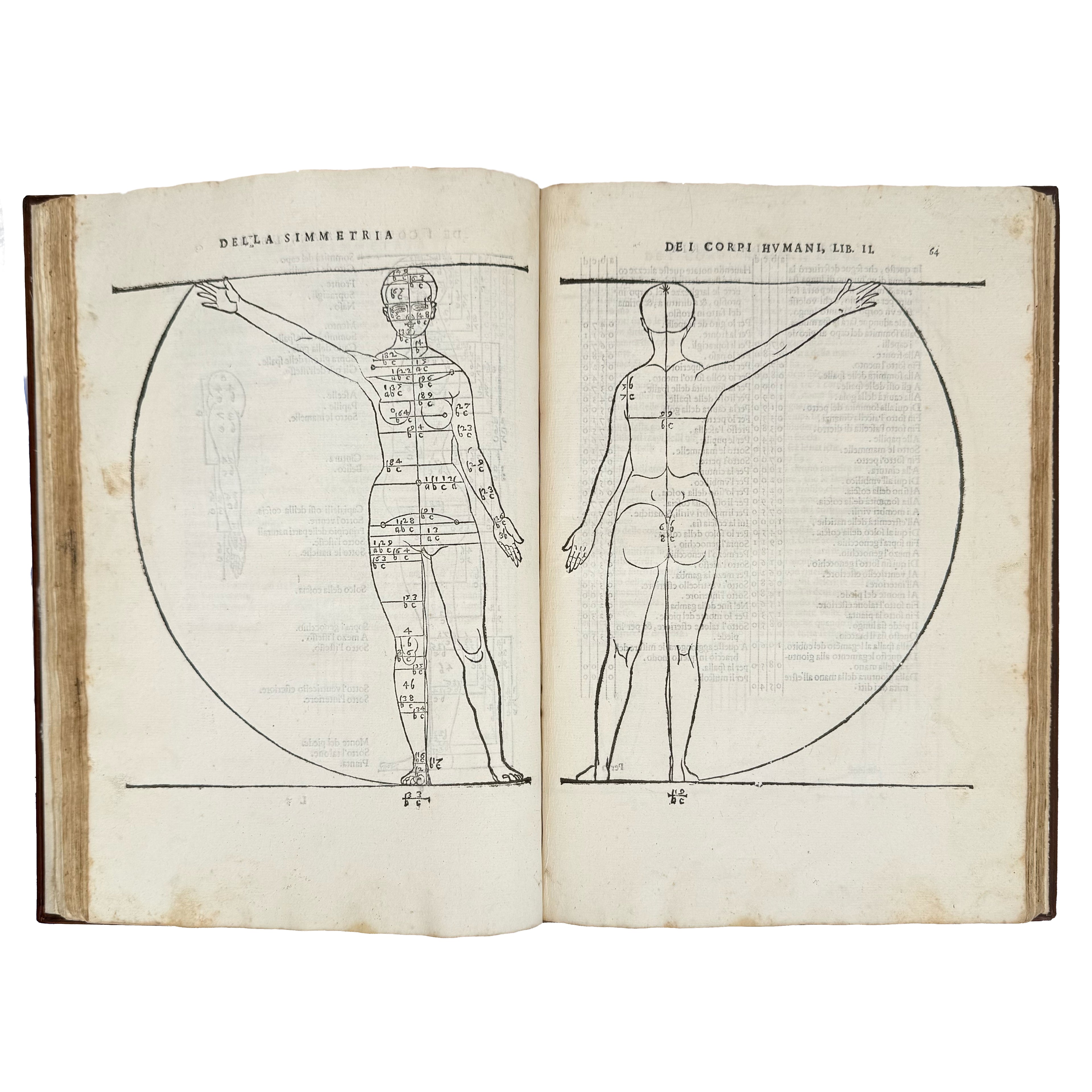 Della simmetria dei corpi humani by Dürer, Albrecht: a distinguished excerpt from the 1591 illustrated wonders text