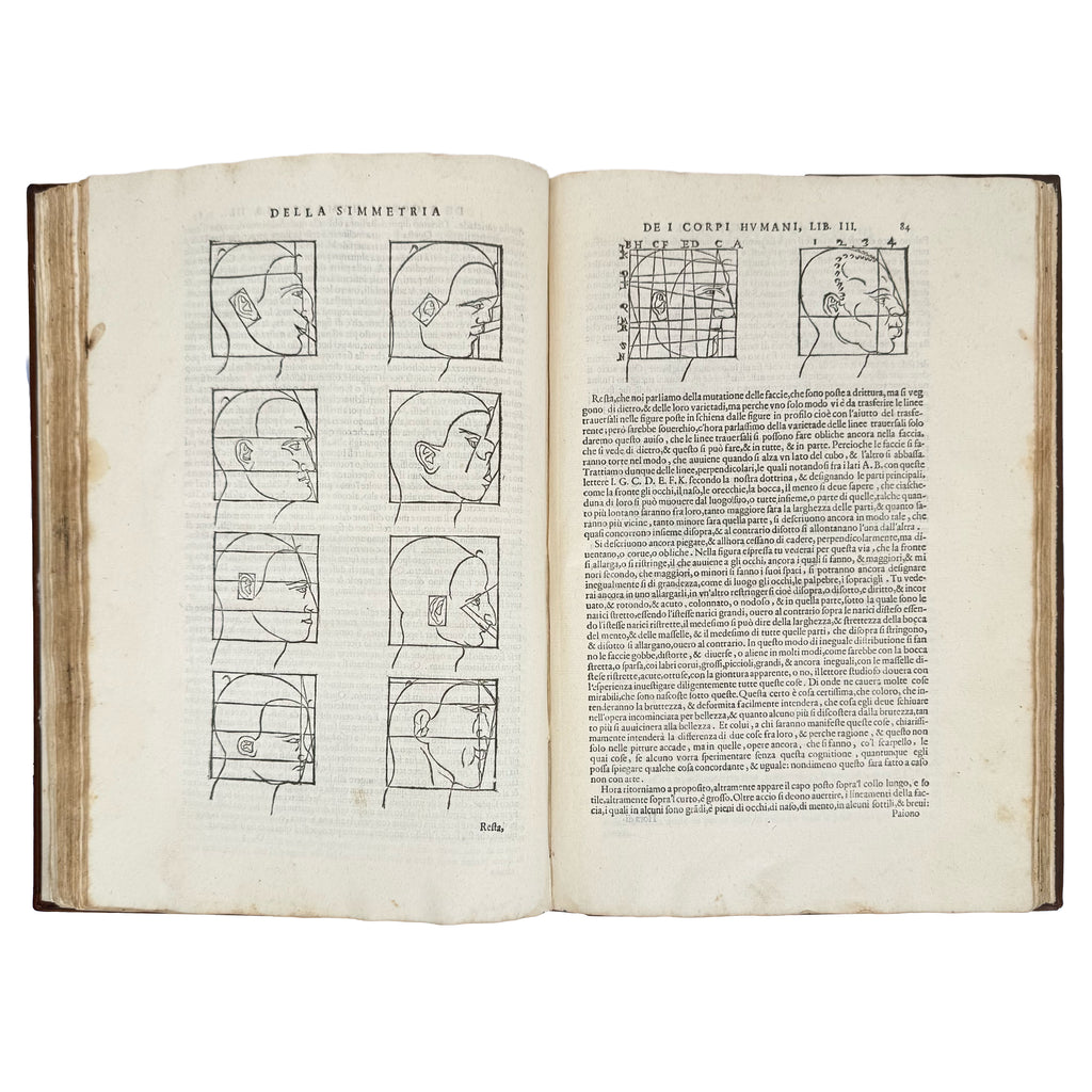 Della simmetria dei corpi humani by Dürer, Albrecht: a distinguished excerpt from the 1591 illustrated wonders volume