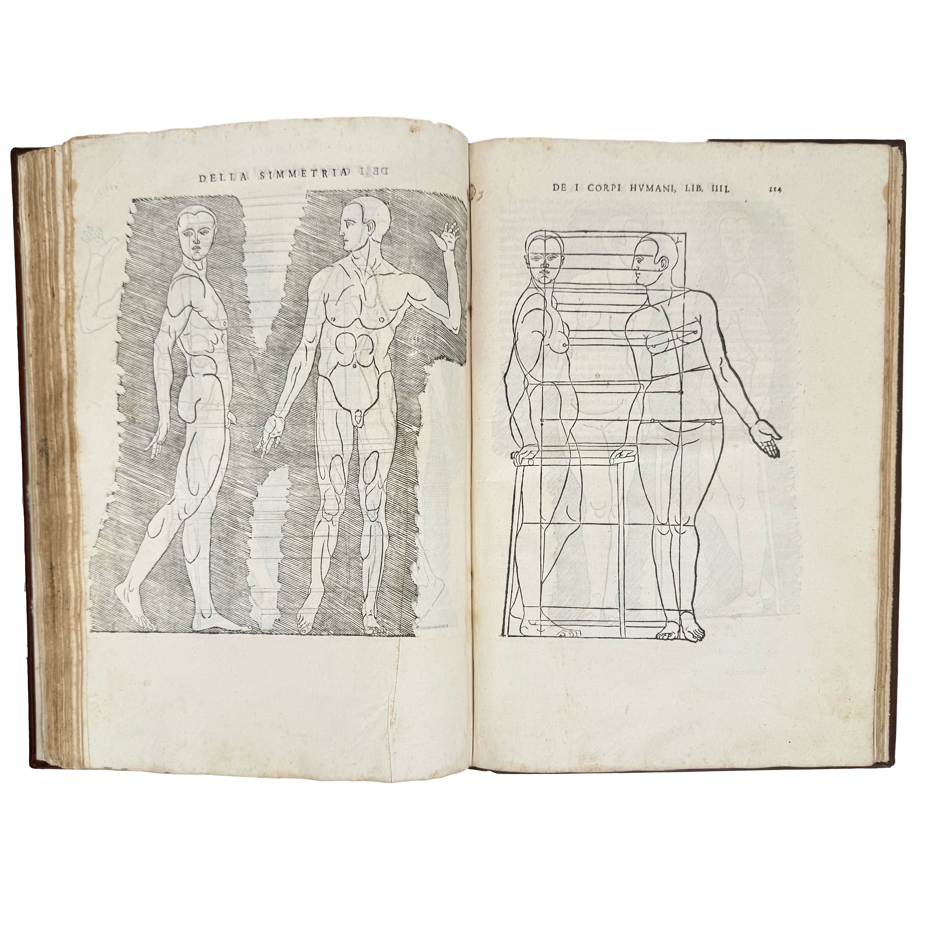 Della simmetria dei corpi humani by Dürer, Albrecht: a noteworthy detail captured from the 1591 illustrated wonders printed work