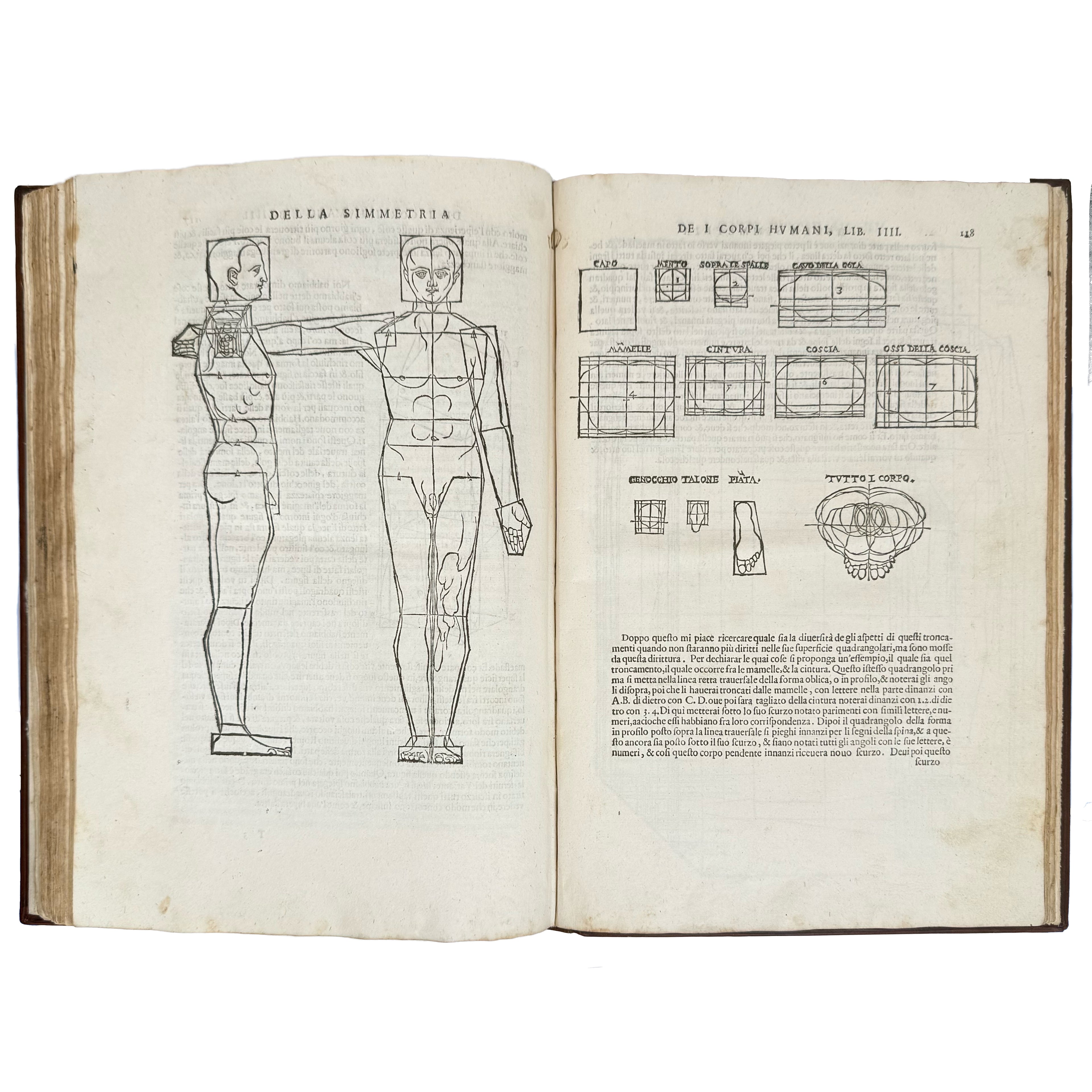 Della simmetria dei corpi humani by Dürer, Albrecht: a finely chosen detail from the 1591 illustrated wonders exemplar