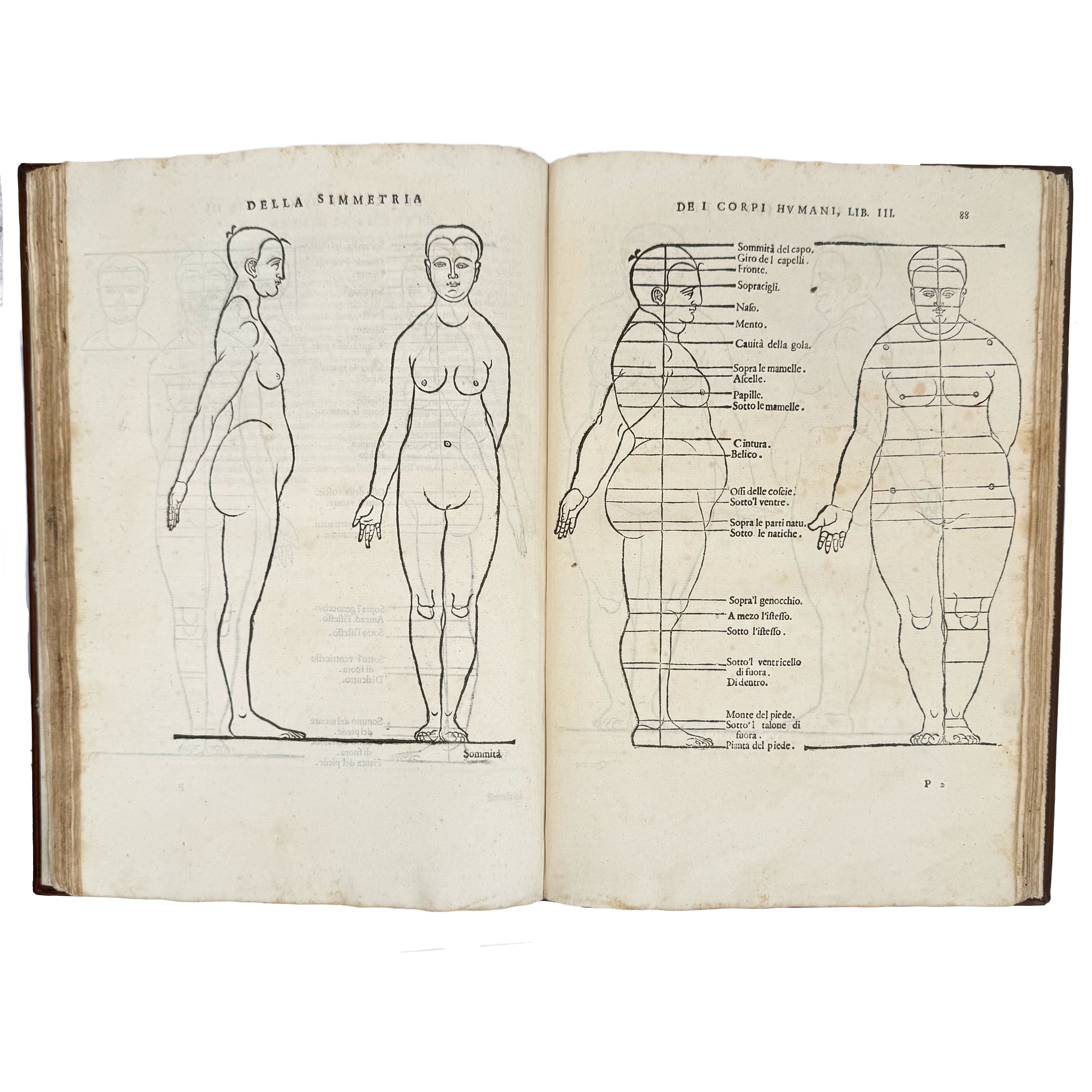 Della simmetria dei corpi humani by Dürer, Albrecht: a selected plate showing the 1591 illustrated wonders treatise
