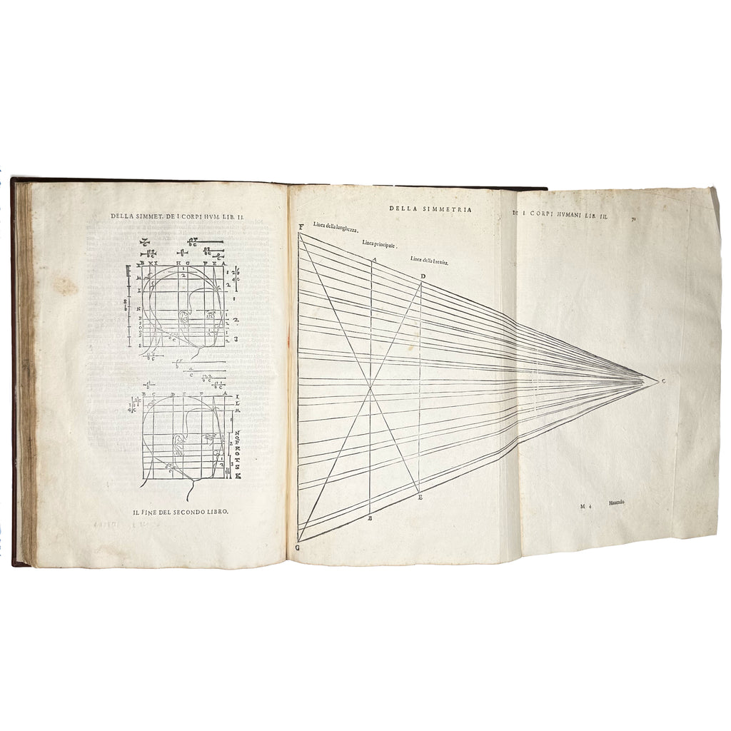 Della simmetria dei corpi humani by Dürer, Albrecht: a selected plate showing the 1591 illustrated wonders printed work