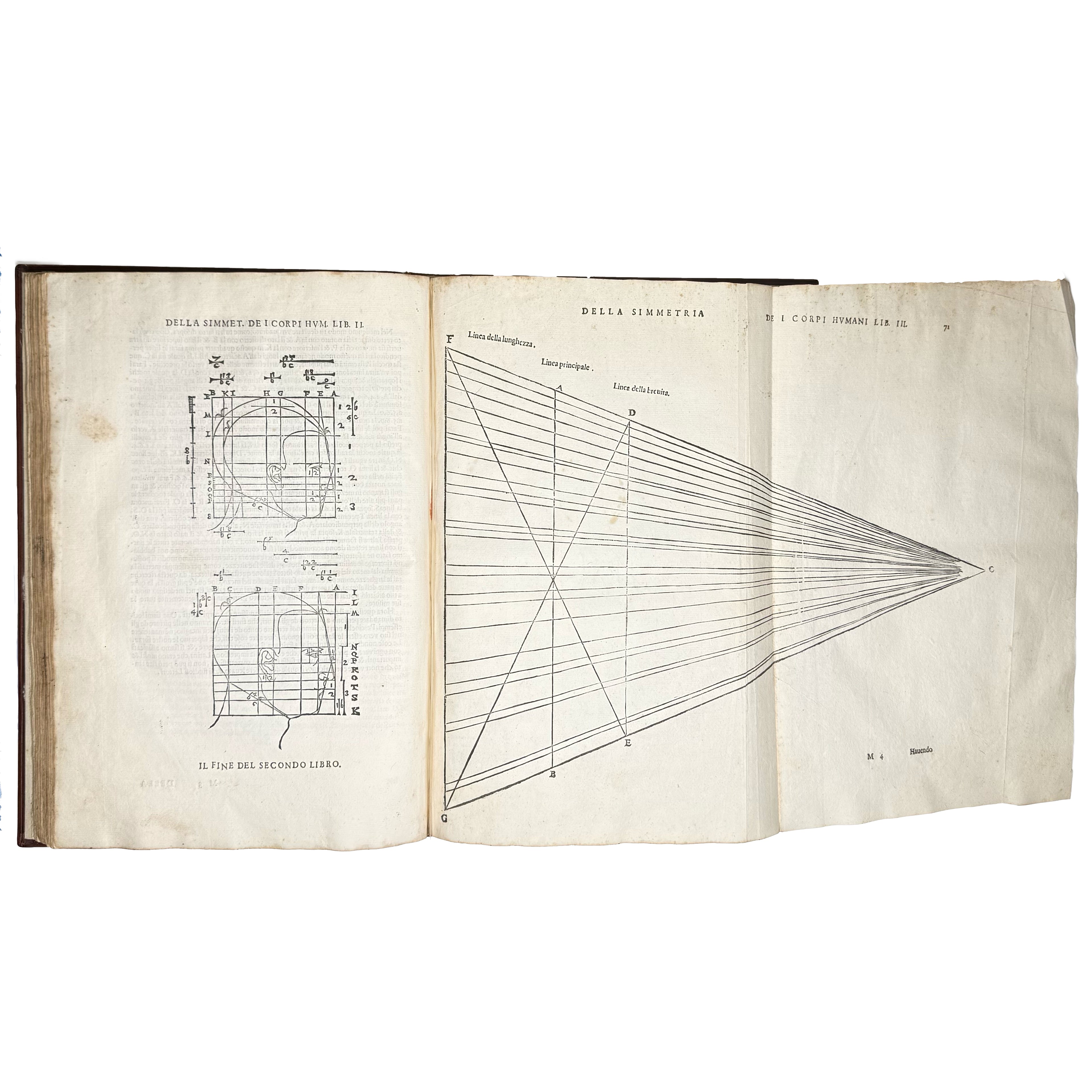 Della simmetria dei corpi humani by Dürer, Albrecht: a selected plate showing the 1591 illustrated wonders printed work