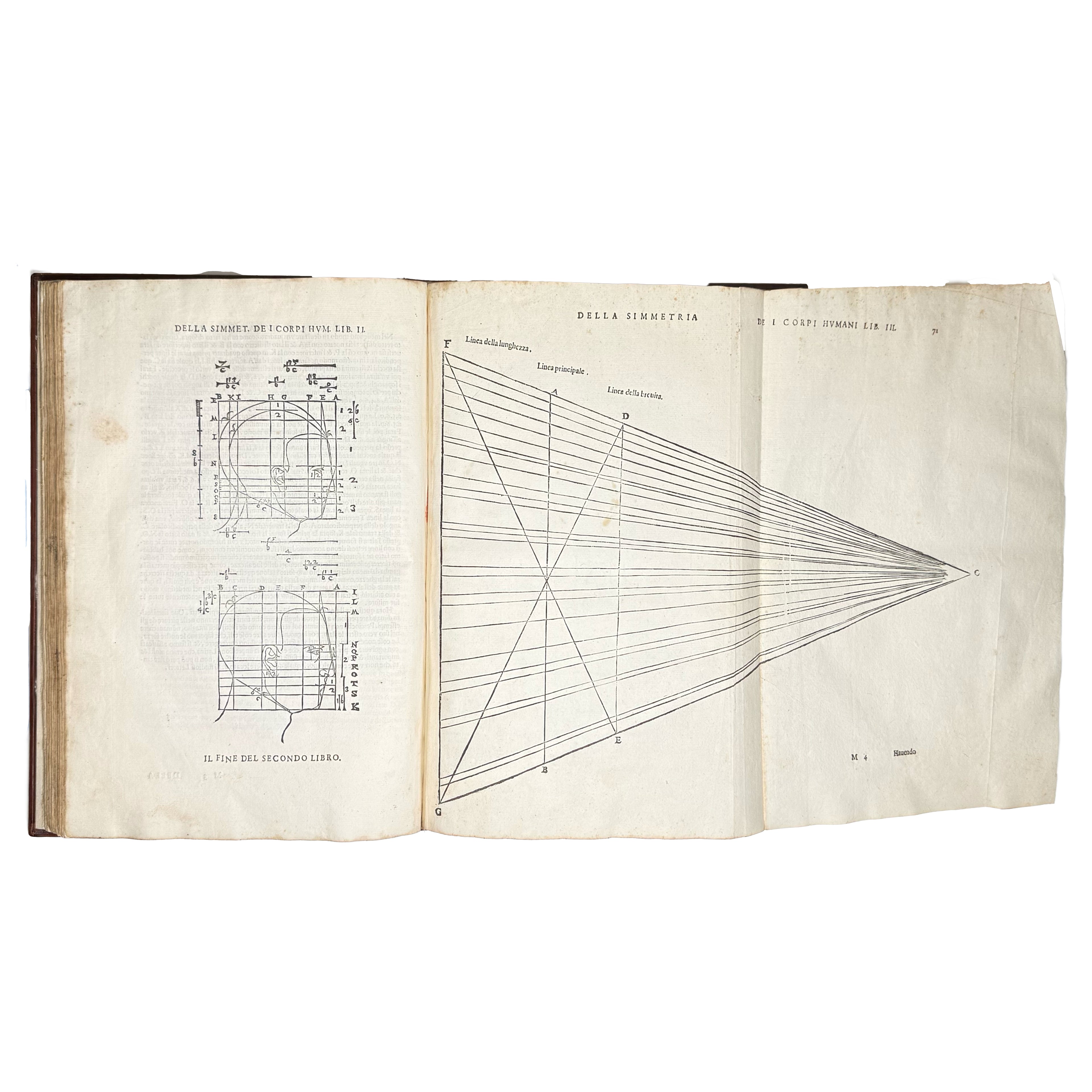 Della simmetria dei corpi humani by Dürer, Albrecht: a carefully chosen vignette of the 1591 illustrated wonders volume