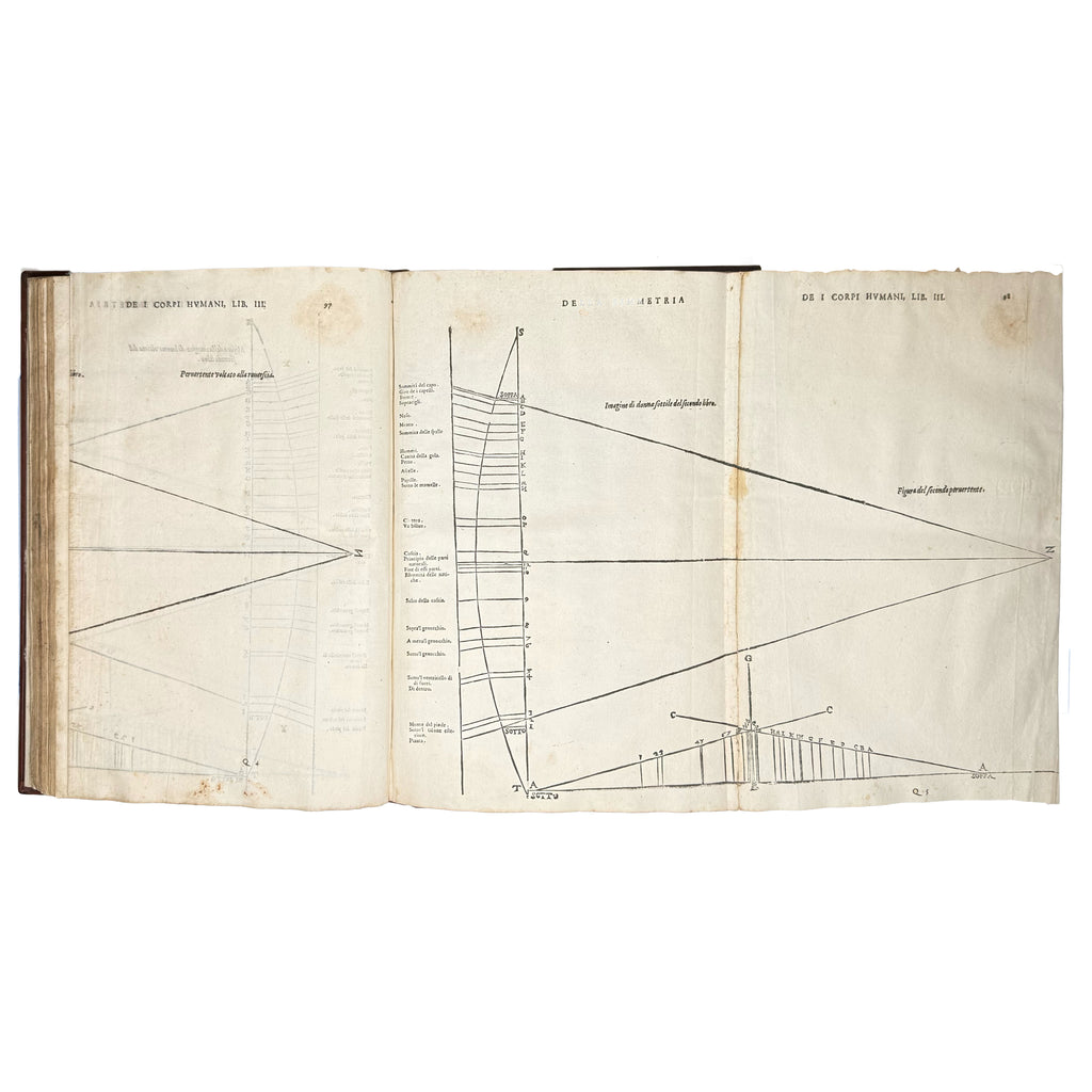 Della simmetria dei corpi humani by Dürer, Albrecht: a rare visual excerpt of the 1591 illustrated wonders work