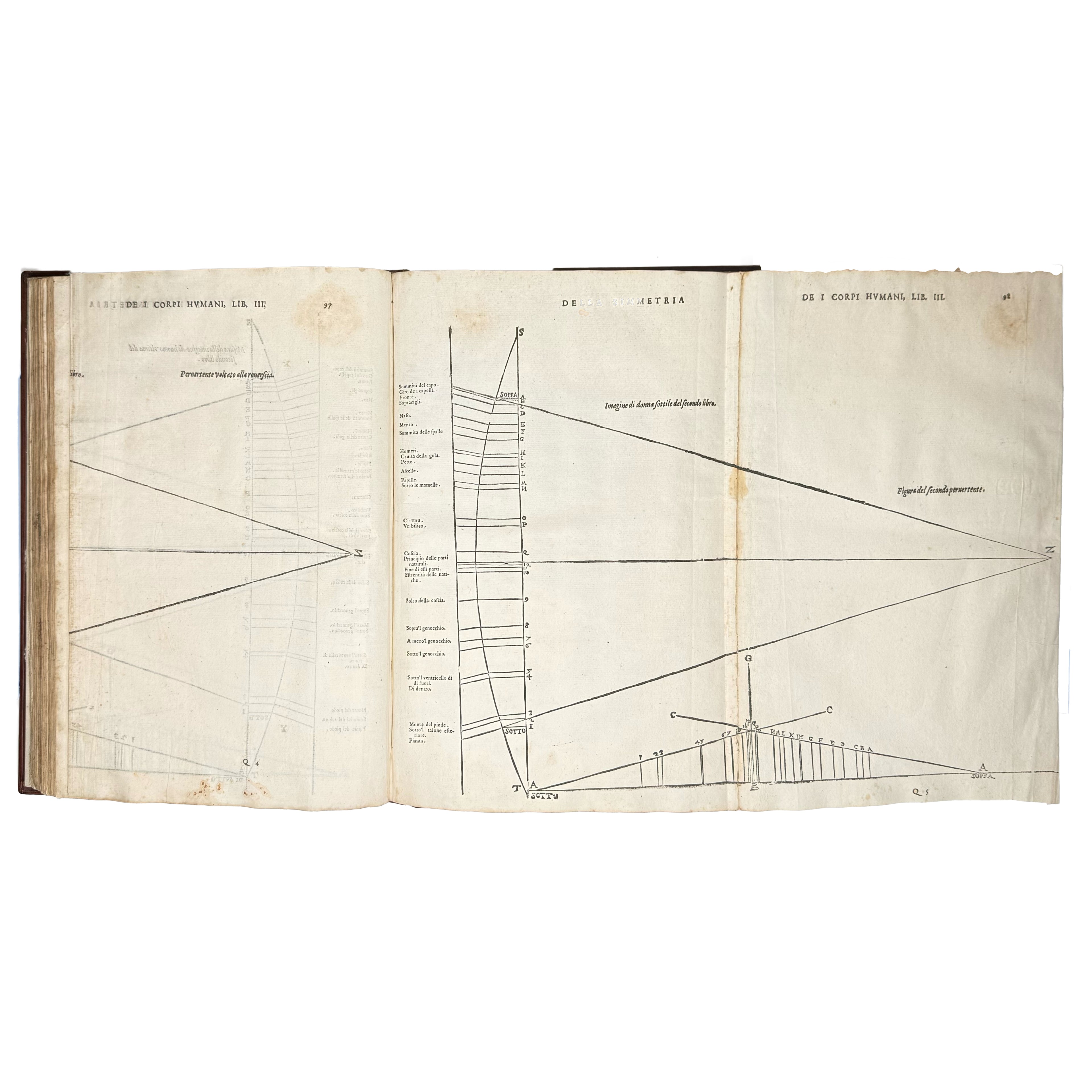 Della simmetria dei corpi humani by Dürer, Albrecht: a rare visual excerpt of the 1591 illustrated wonders work