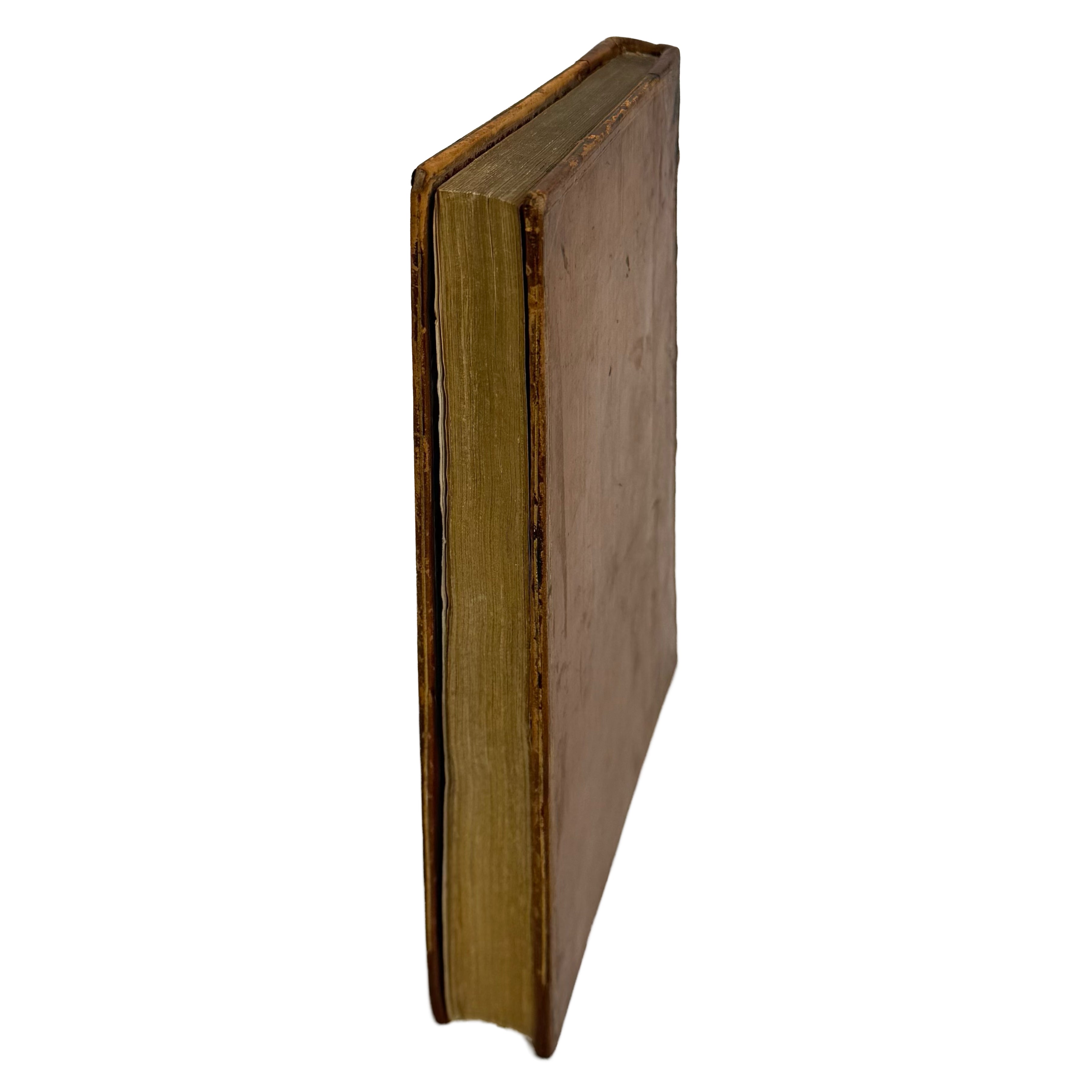Cento favole morali by Verdizotti, Giovanni Mario: a finely chosen detail from the 1577 illustrated wonders treatise
