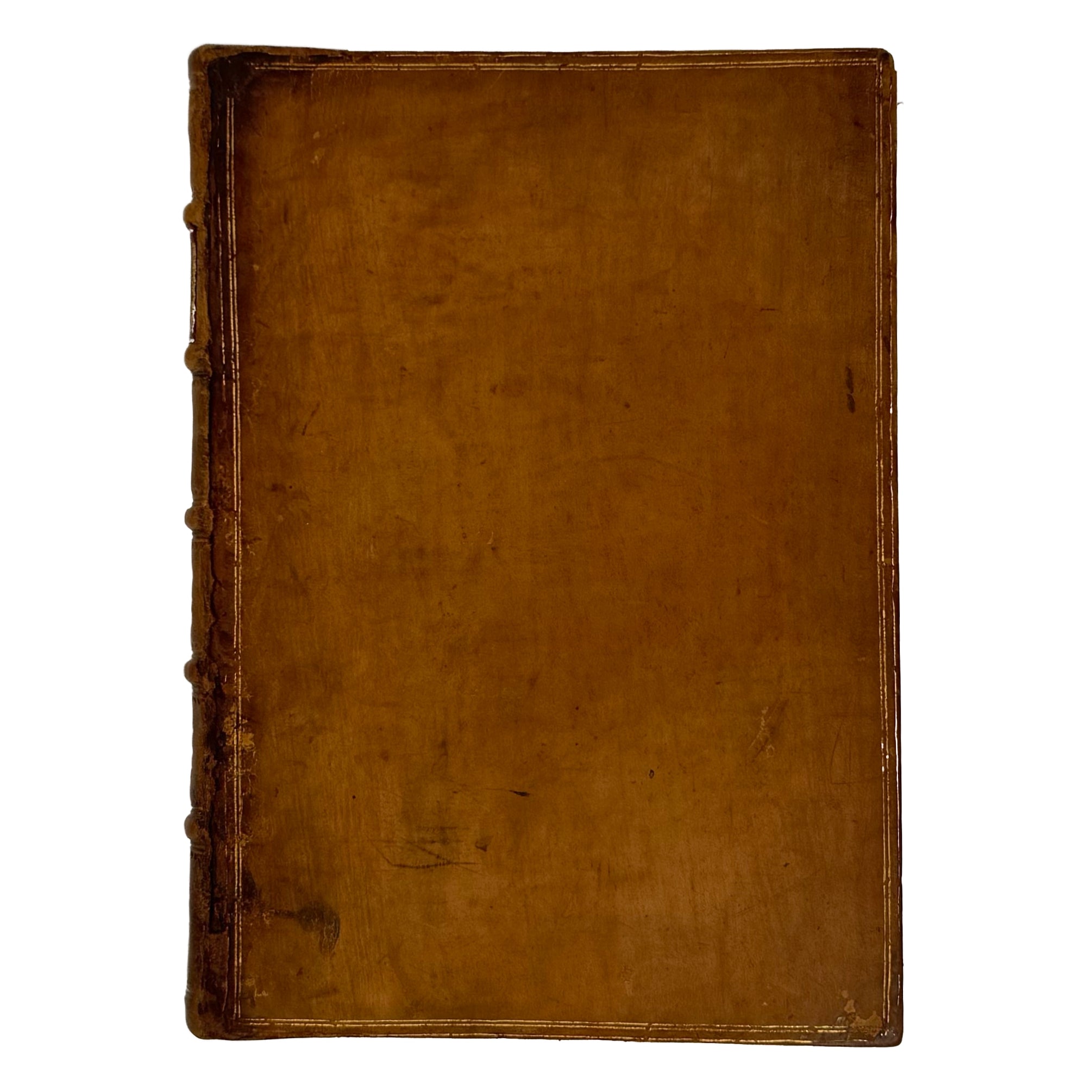 Cento favole morali by Verdizotti, Giovanni Mario: a singularly preserved detail from the 1577 illustrated wonders text