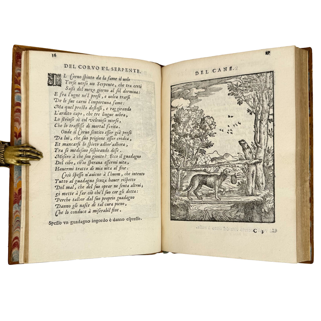 Cento favole morali by Verdizotti, Giovanni Mario: a finely chosen detail from the 1577 illustrated wonders copy