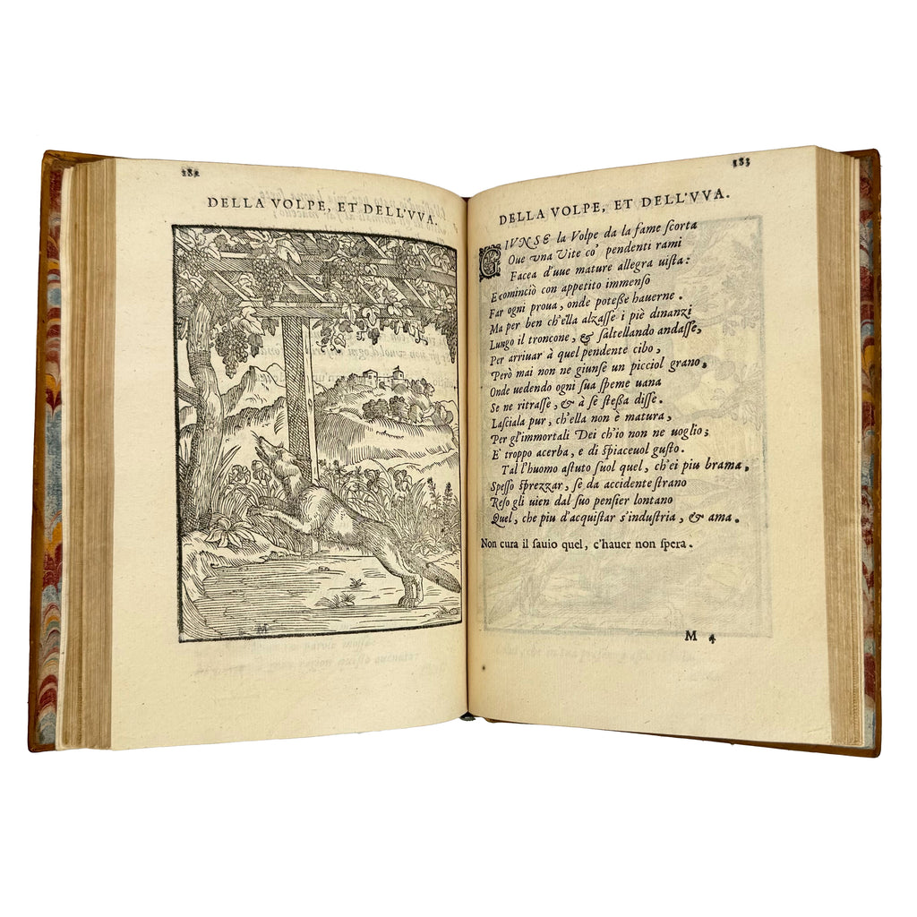 Cento favole morali by Verdizotti, Giovanni Mario: a carefully chosen vignette of the 1577 illustrated wonders printed work