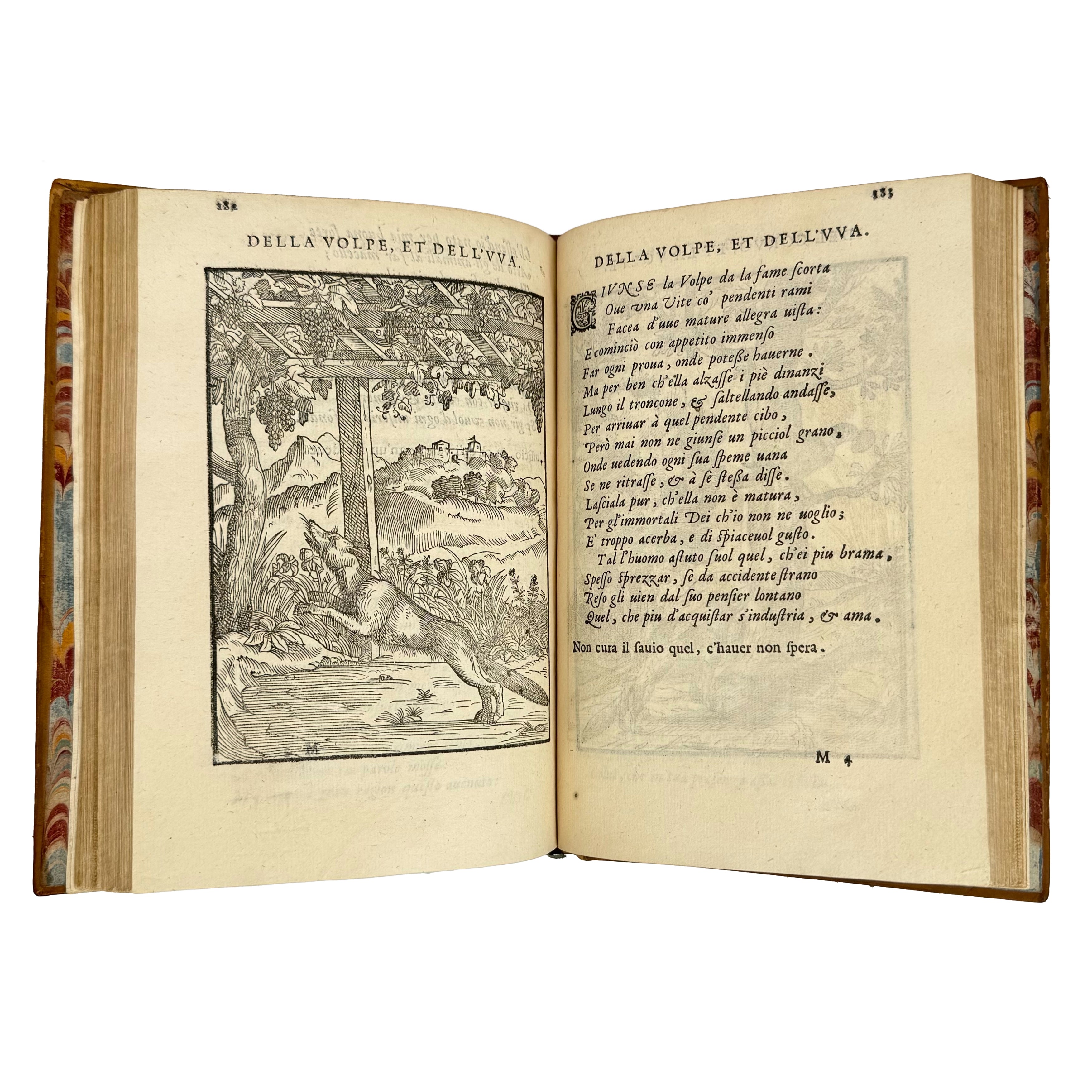 Cento favole morali by Verdizotti, Giovanni Mario: a carefully chosen vignette of the 1577 illustrated wonders printed work