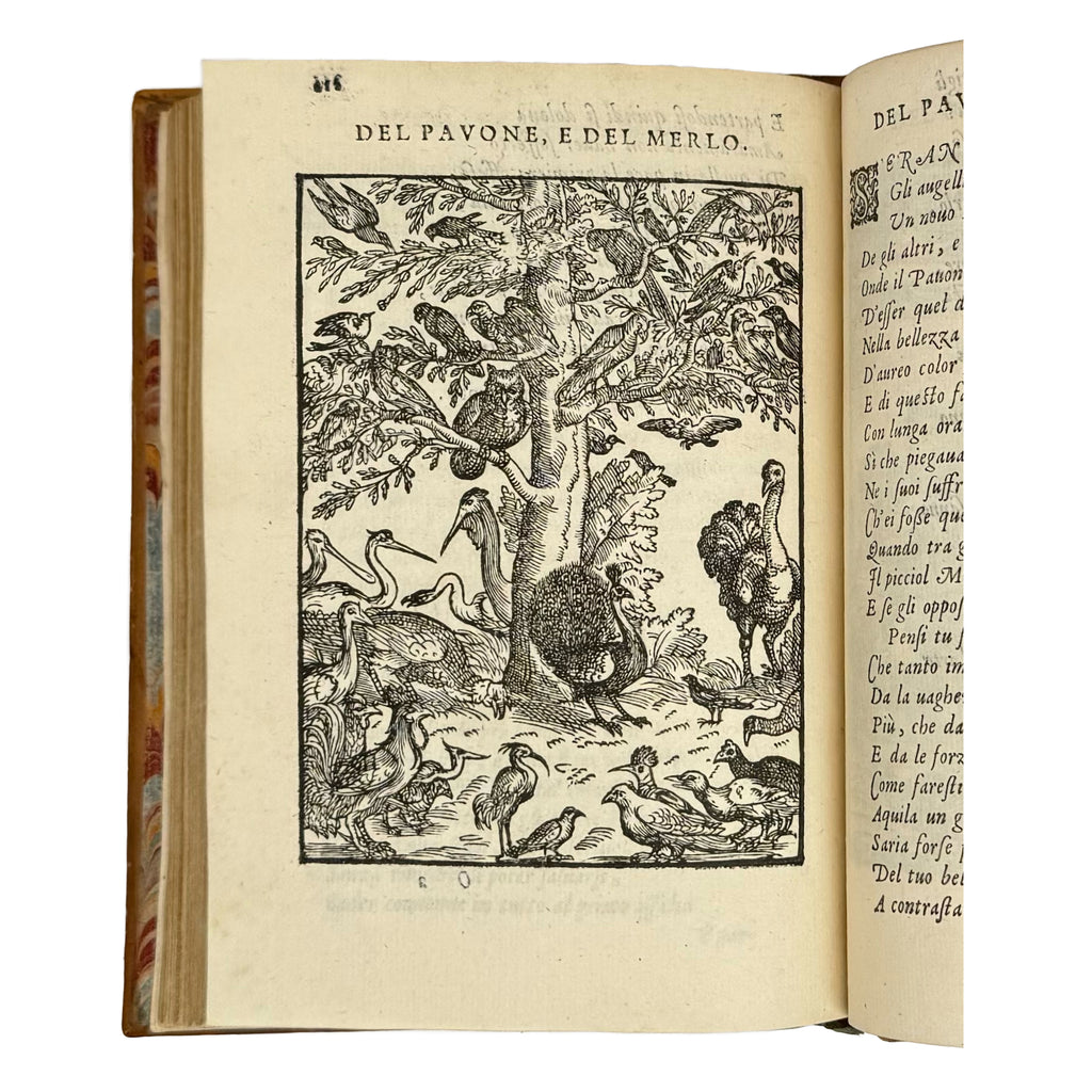 Cento favole morali by Verdizotti, Giovanni Mario: a finely preserved portion of the 1577 illustrated wonders treatise