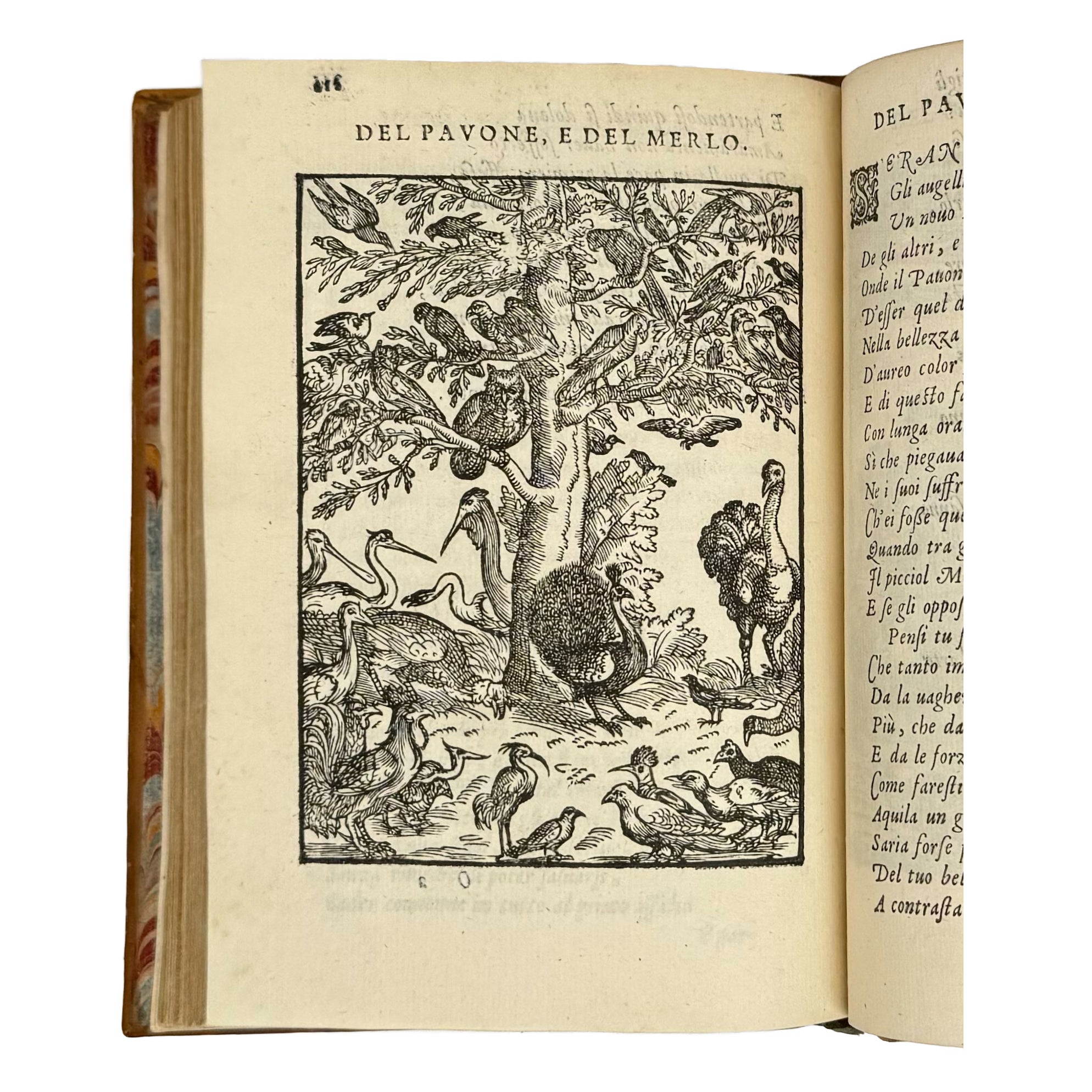 Cento favole morali by Verdizotti, Giovanni Mario: a finely preserved portion of the 1577 illustrated wonders treatise