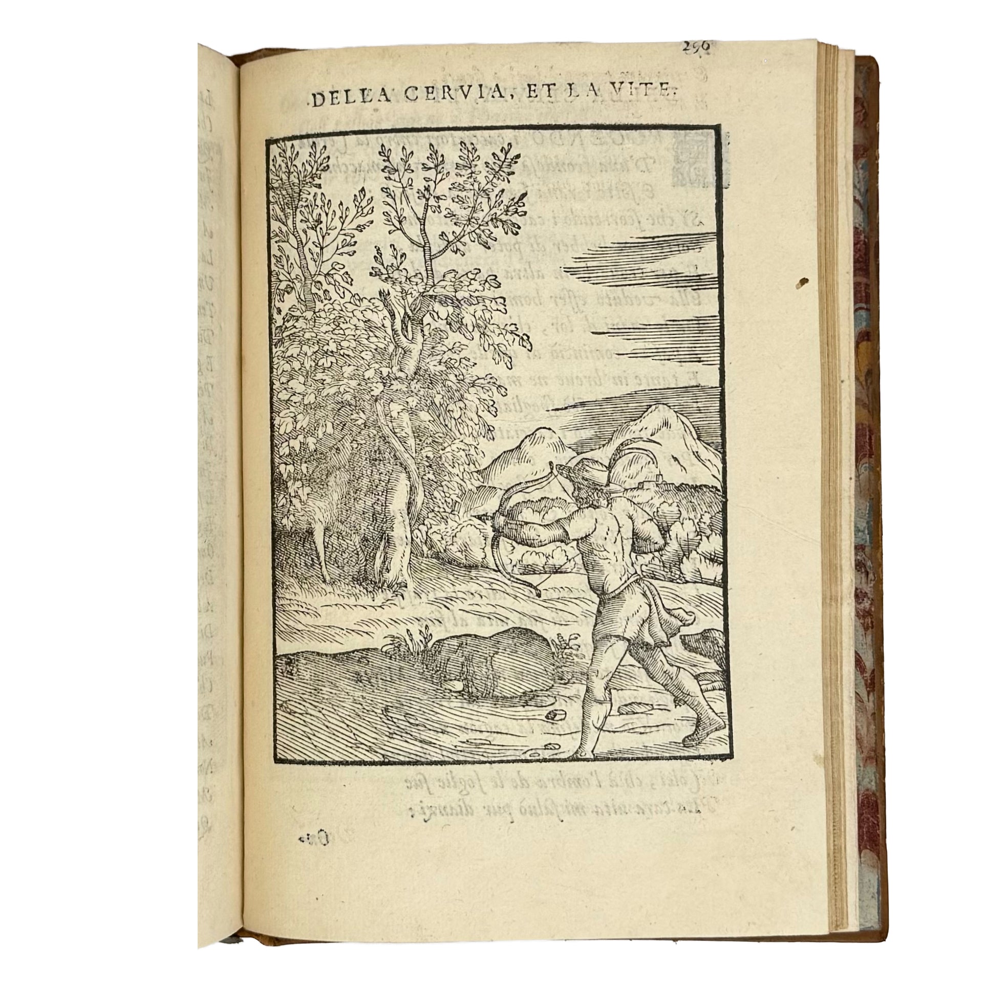 Cento favole morali by Verdizotti, Giovanni Mario: a distinctive element from the 1577 illustrated wonders work