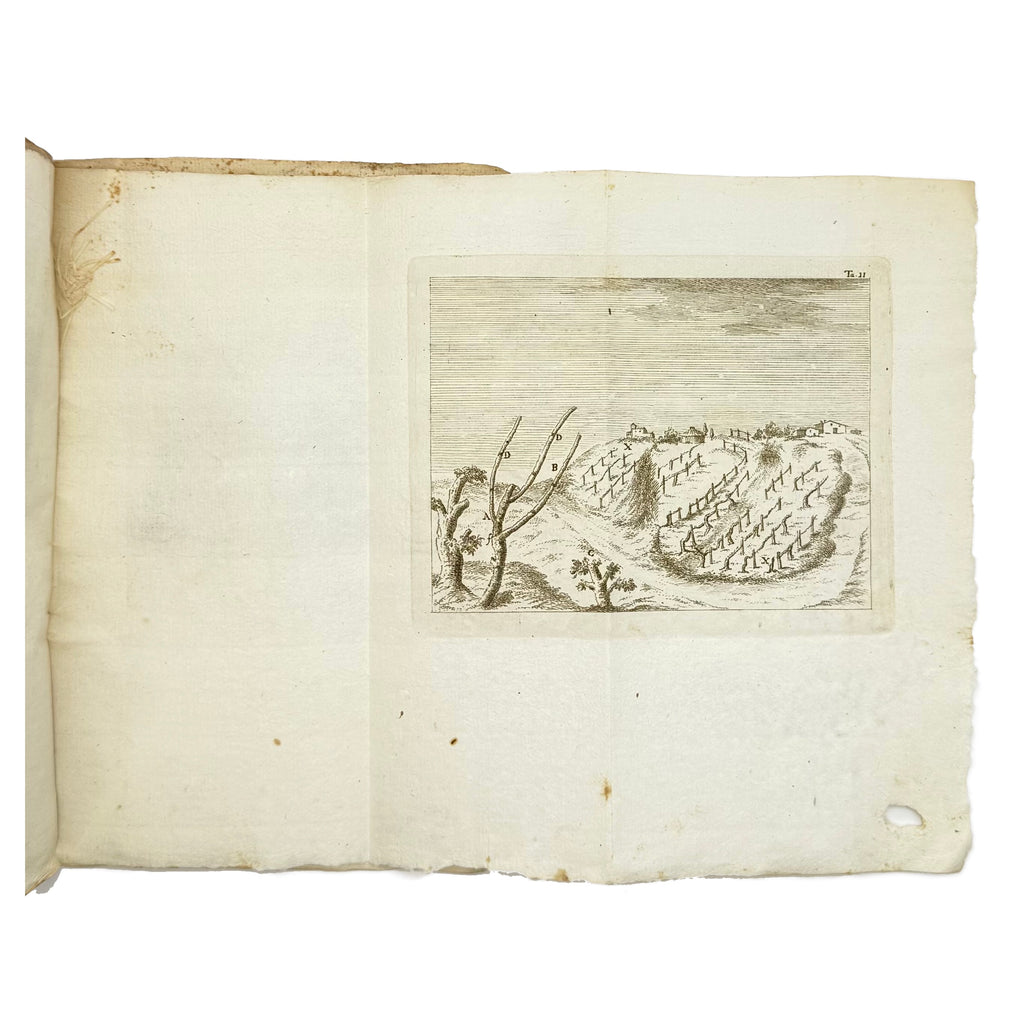 Arte Di Fare Il Vino Per La Lombardia Austriaca by Fabbroni, Adamo, a rare highlighted image of the 1790 - wine book.