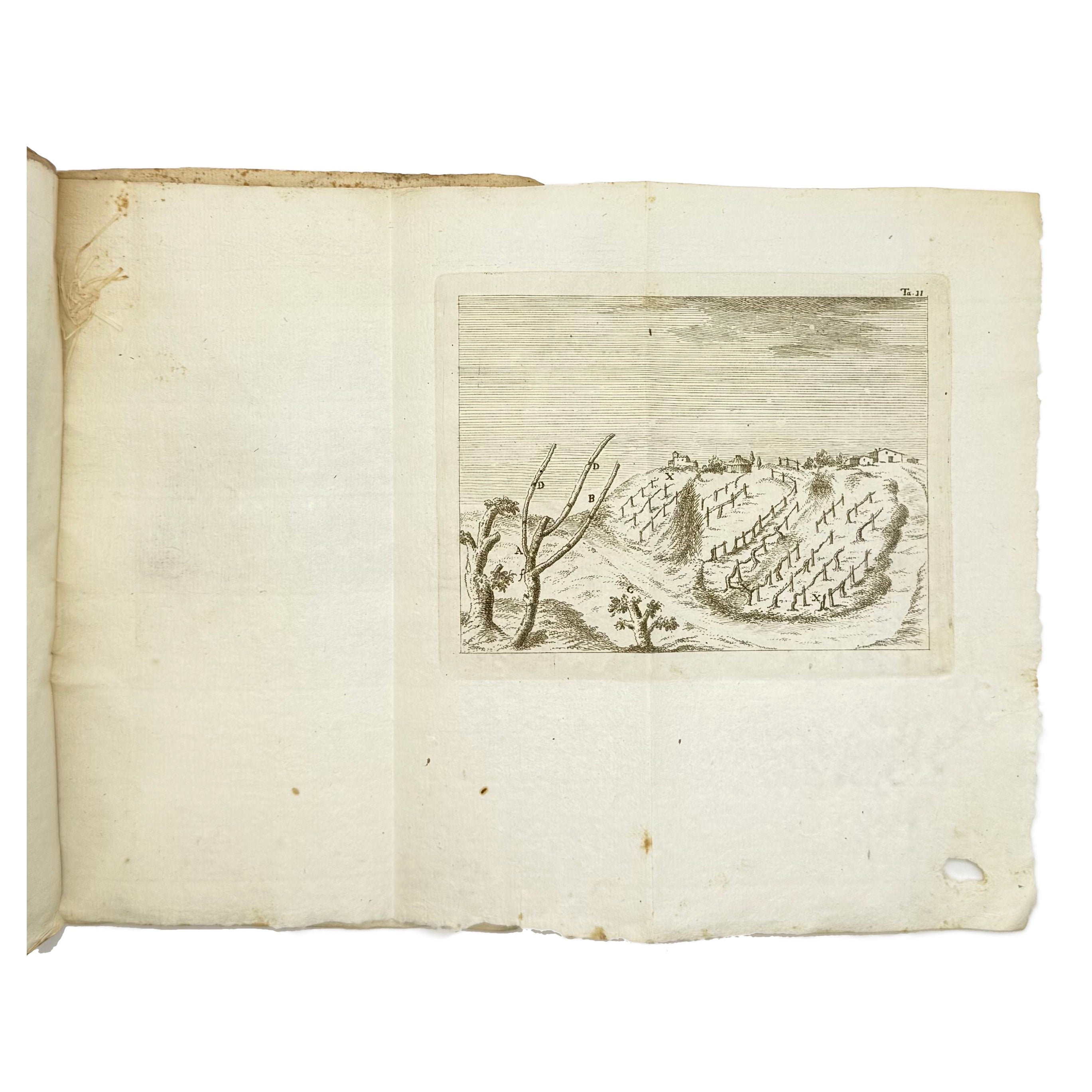 Arte Di Fare Il Vino Per La Lombardia Austriaca by Fabbroni, Adamo, a rare highlighted image of the 1790 - wine book.