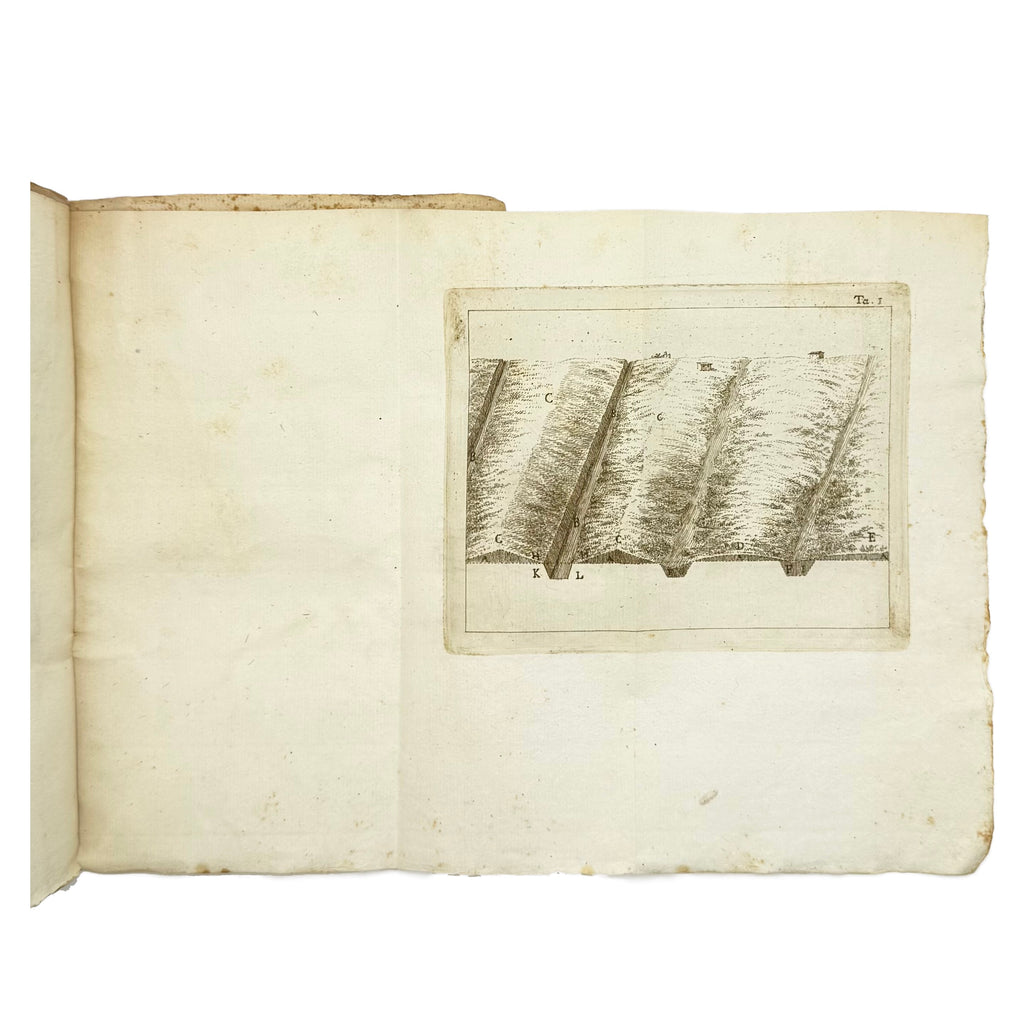 Arte Di Fare Il Vino Per La Lombardia Austriaca by Fabbroni, Adamo, a rare example from the work of the 1790 - wine book.