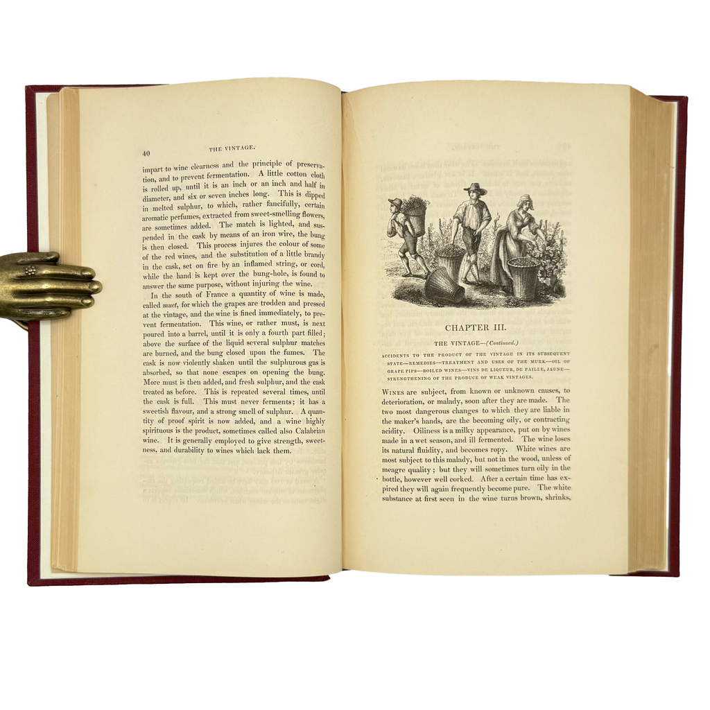 A History And Description Of Modern Wines by Redding, Cyrus, a rare example image of the 1833 - wine book.