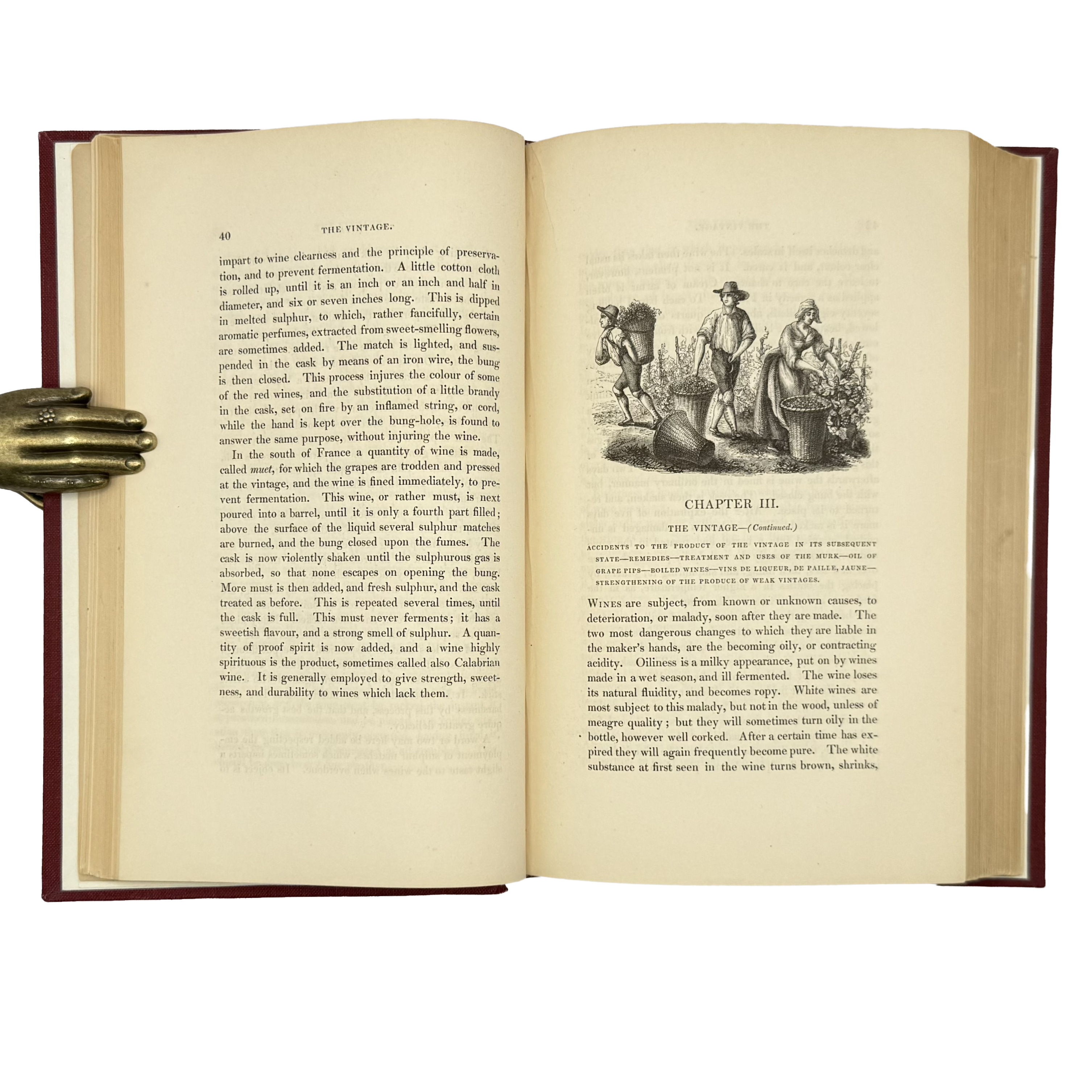 A History And Description Of Modern Wines by Redding, Cyrus, a rare example image of the 1833 - wine book.