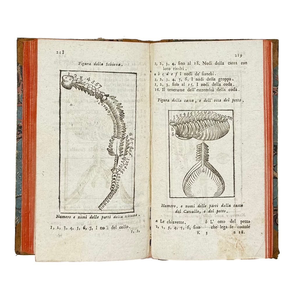 Il Gran Marescalco Francese by Davini, Giovanni Battista; Vallisneri, Antonio, a rare example image of the 1799 - illustrated book.