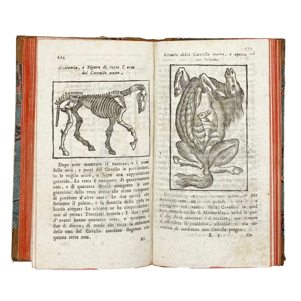 Il Gran Marescalco Francese by Davini, Giovanni Battista; Vallisneri, Antonio, a rare image of the 1799 - illustrated book.