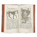 Il Gran Marescalco Francese by Davini, Giovanni Battista; Vallisneri, Antonio, a rare image of the 1799 - illustrated book.