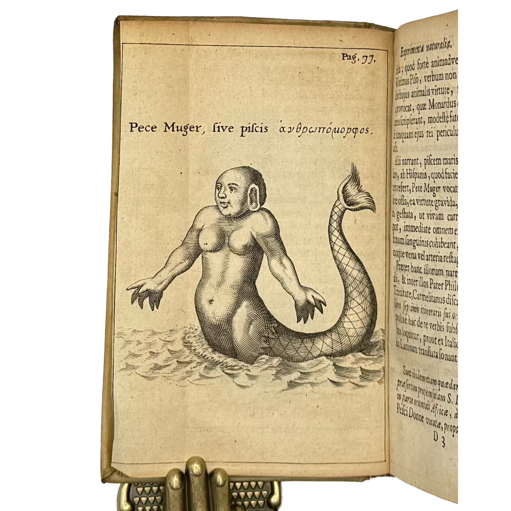 Experimenta Circa Varias Res Naturales by Redi, Francesco, a rare detail of the 1685 - curiosa & occulta book.
