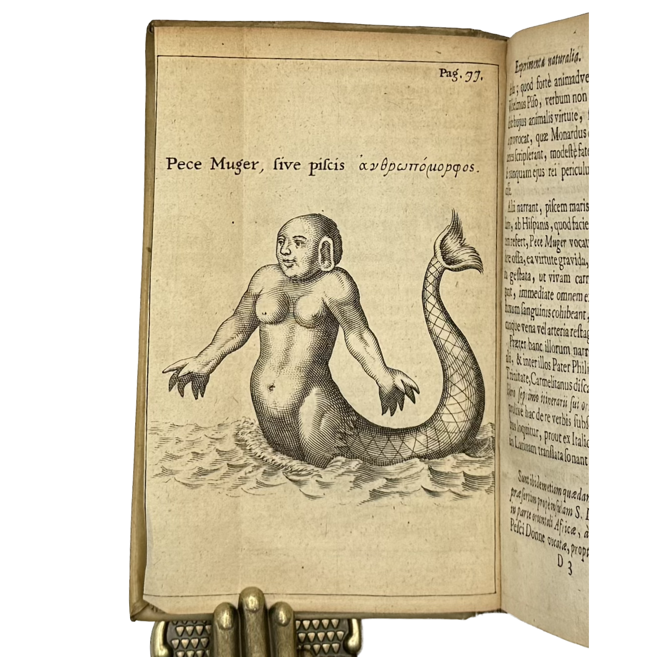 Experimenta Circa Varias Res Naturales by Redi, Francesco, a rare detail of the 1685 - curiosa & occulta book.