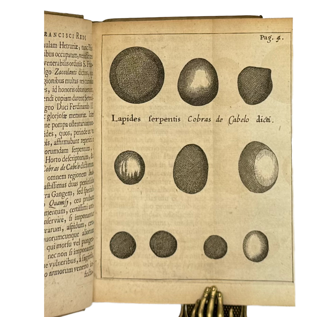 Experimenta Circa Varias Res Naturales by Redi, Francesco, a rare interior highlight of the 1685 - curiosa & occulta book.