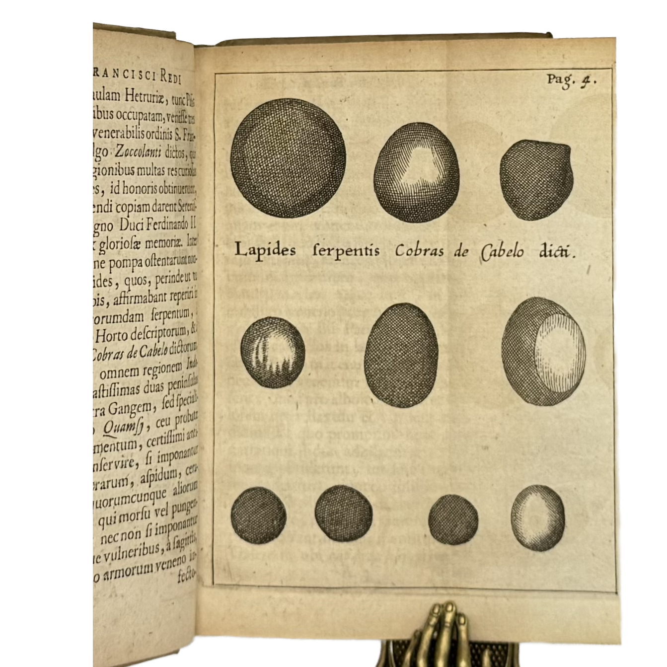 Experimenta Circa Varias Res Naturales by Redi, Francesco, a rare interior highlight of the 1685 - curiosa & occulta book.
