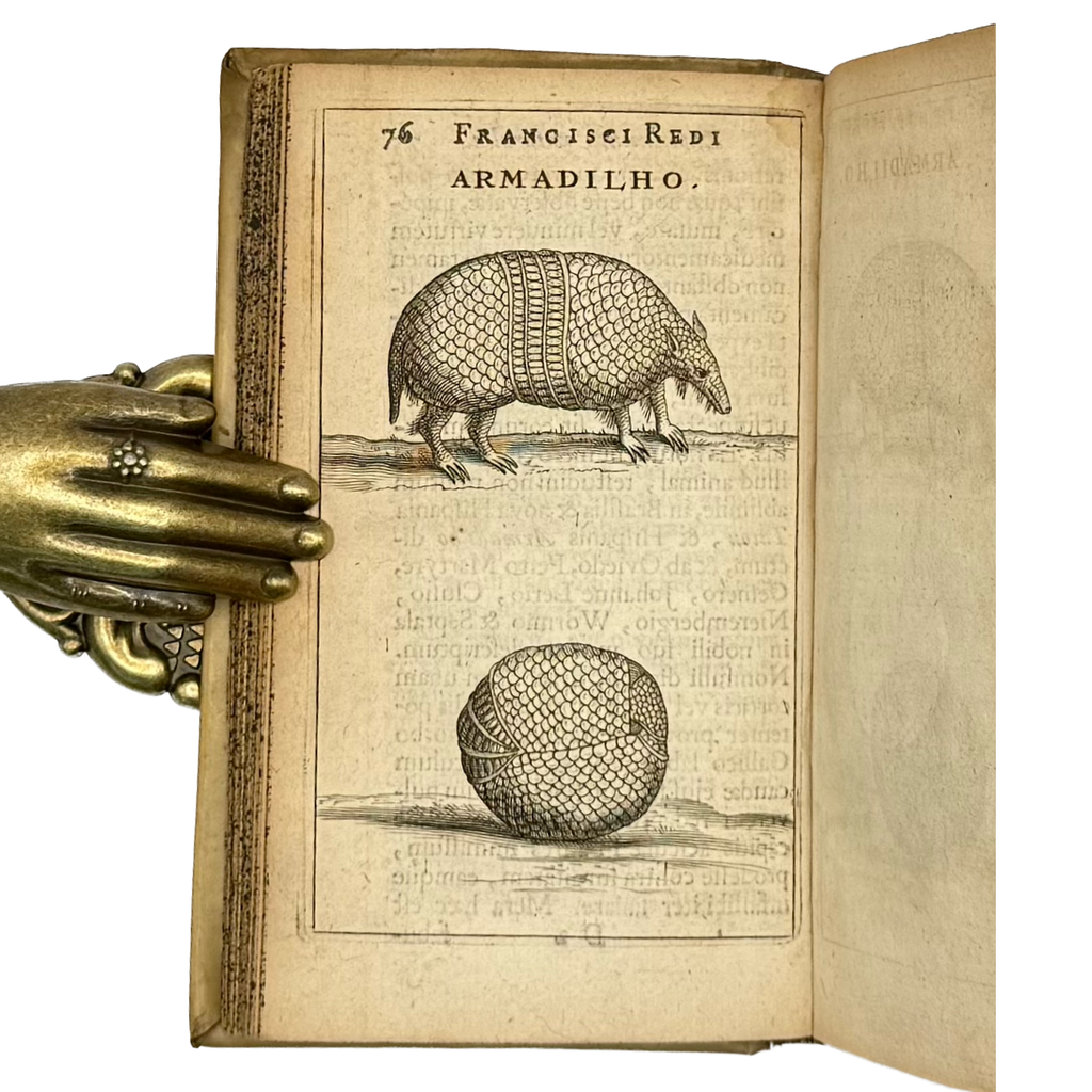 Experimenta Circa Varias Res Naturales by Redi, Francesco, a rare view of the 1685 - curiosa & occulta book.