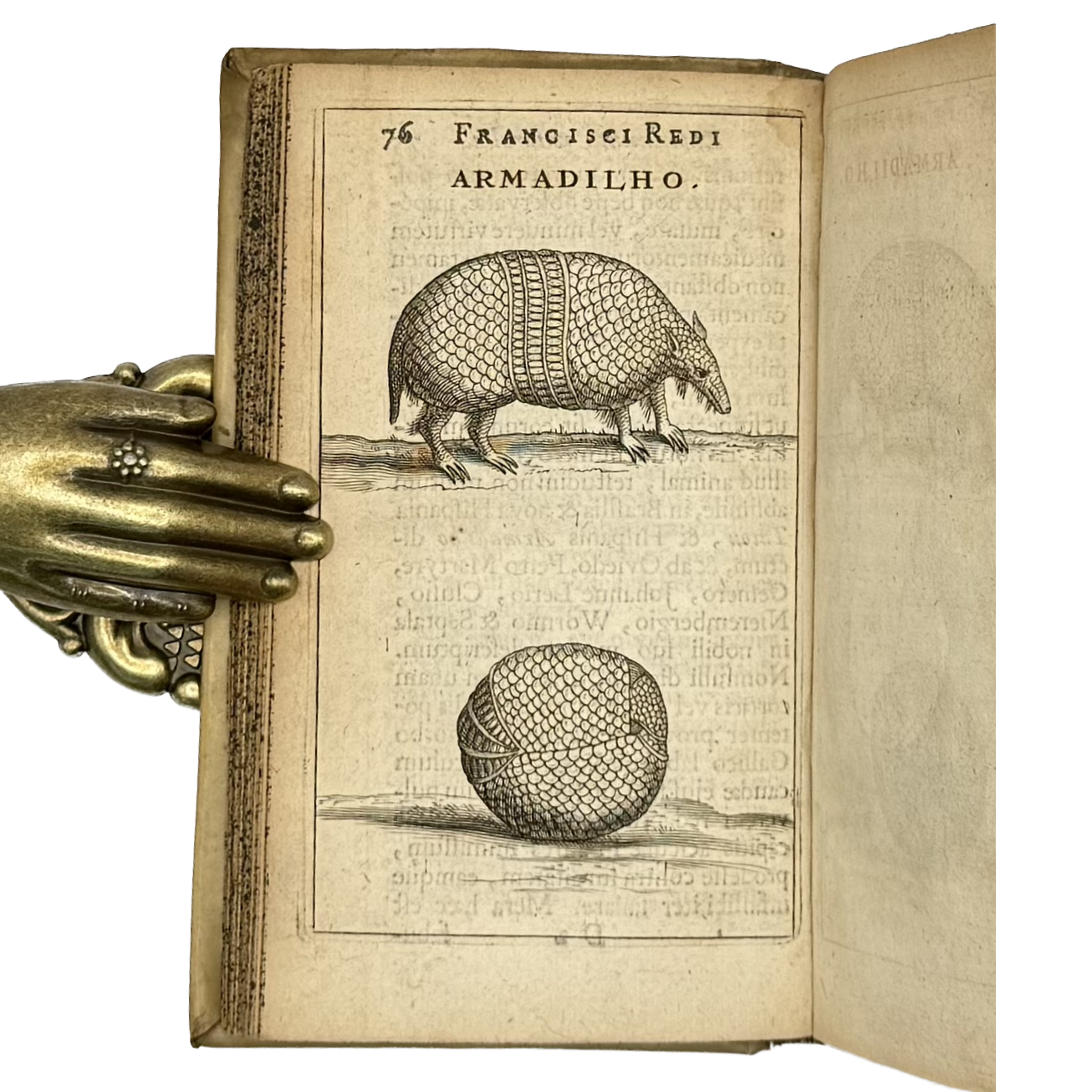 Experimenta Circa Varias Res Naturales by Redi, Francesco, a rare view of the 1685 - curiosa & occulta book.