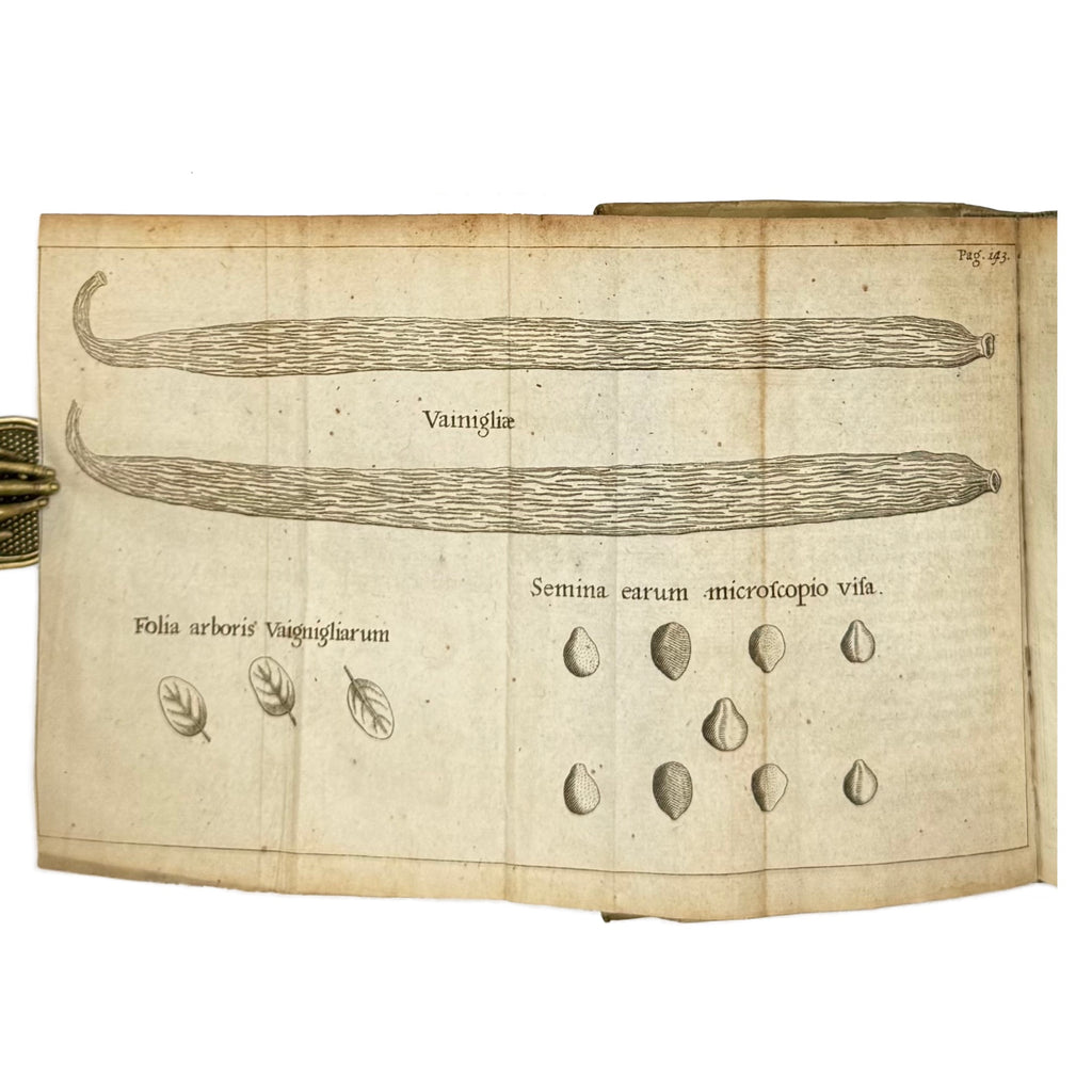Experimenta Circa Varias Res Naturales by Redi, Francesco, a rare sample view of the 1685 - curiosa & occulta book.