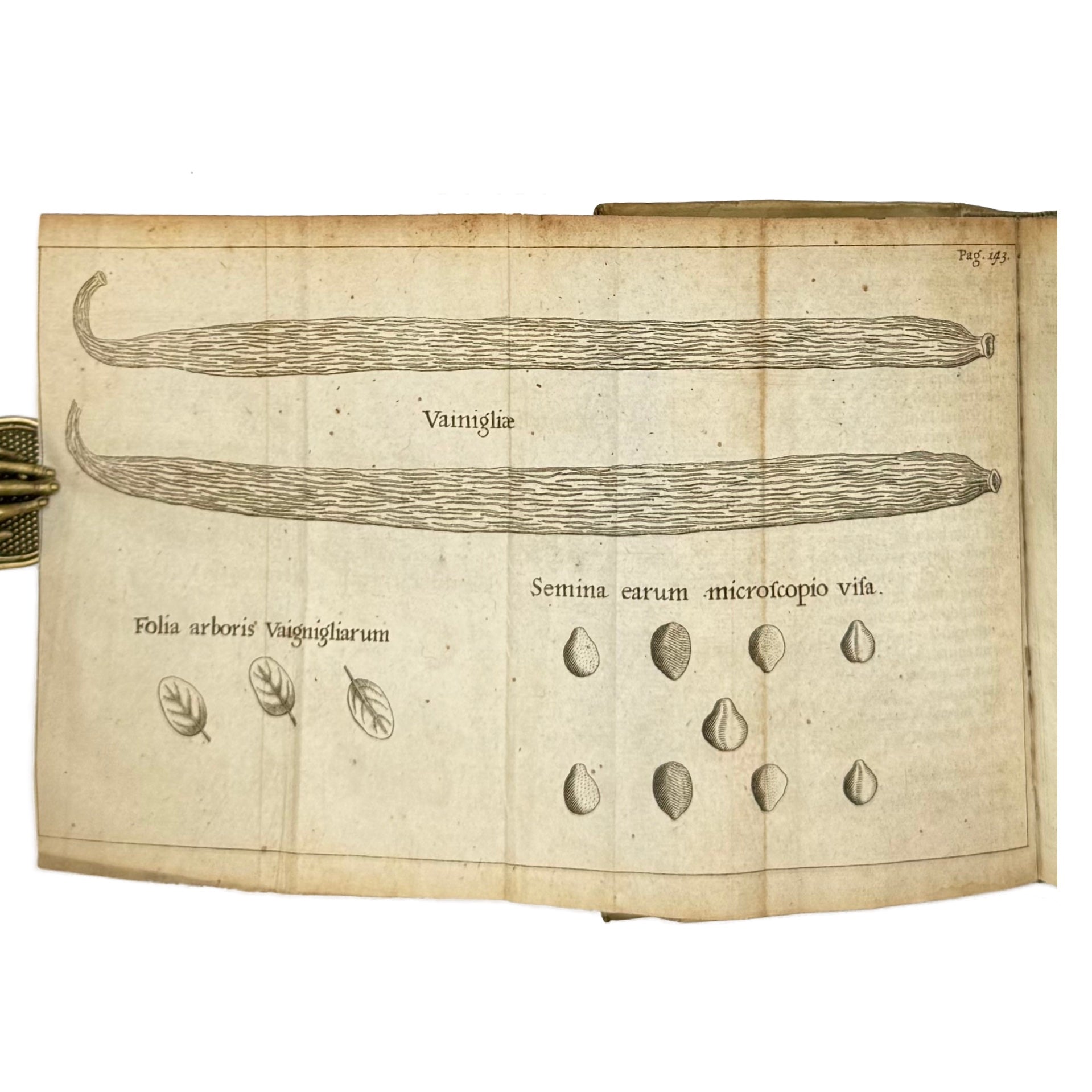 Experimenta Circa Varias Res Naturales by Redi, Francesco, a rare sample view of the 1685 - curiosa & occulta book.
