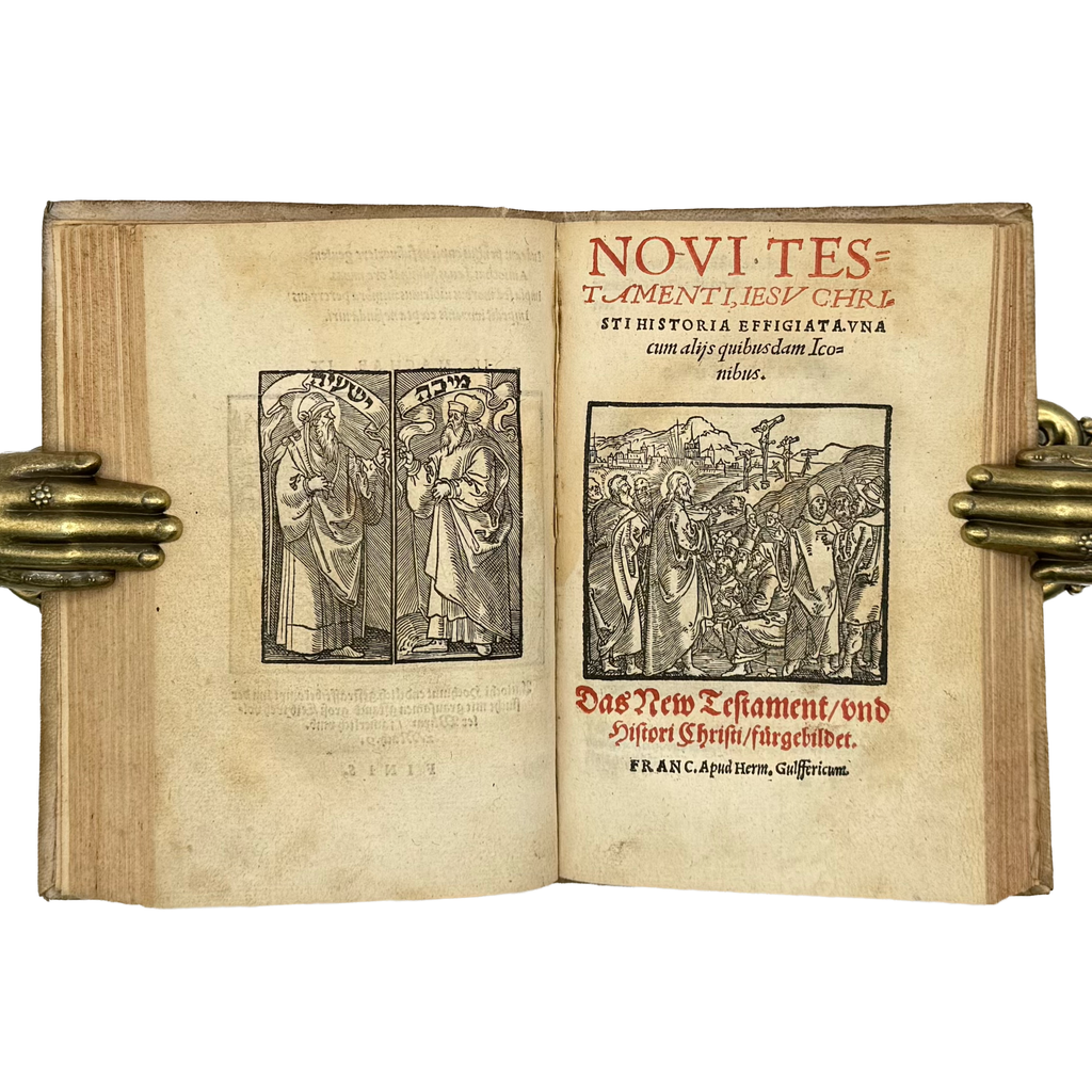 Biblia Veteris Testamenti Et Historiae by Giovio, Paolo, a rare notable image of the 1553 - illustrated book.