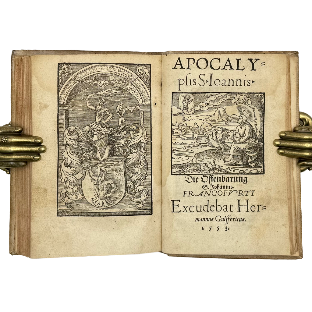 Biblia Veteris Testamenti Et Historiae by Giovio, Paolo, a rare image from the book of the 1553 - illustrated book.