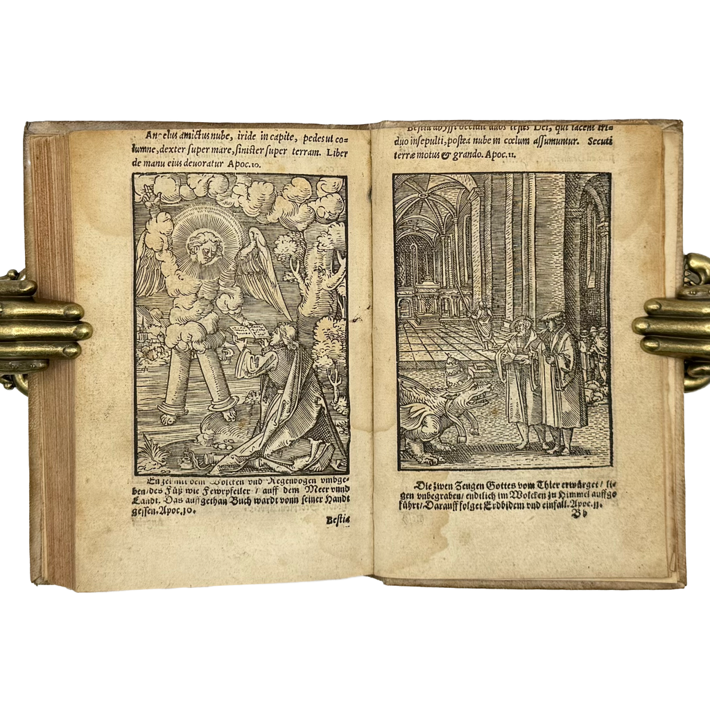 Biblia Veteris Testamenti Et Historiae by Giovio, Paolo, a rare example image of the 1553 - illustrated book.
