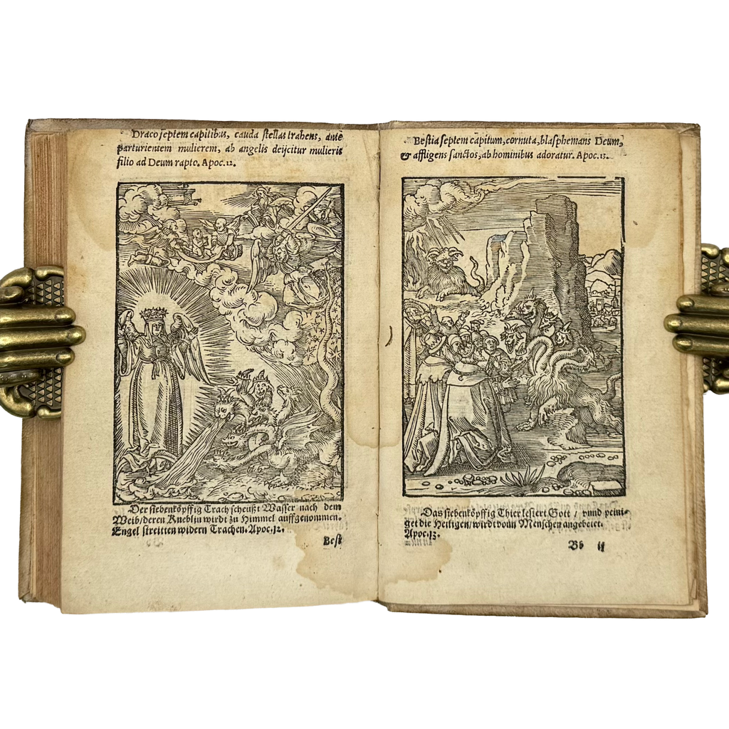 Biblia Veteris Testamenti Et Historiae by Giovio, Paolo, a rare view of the 1553 - illustrated book.