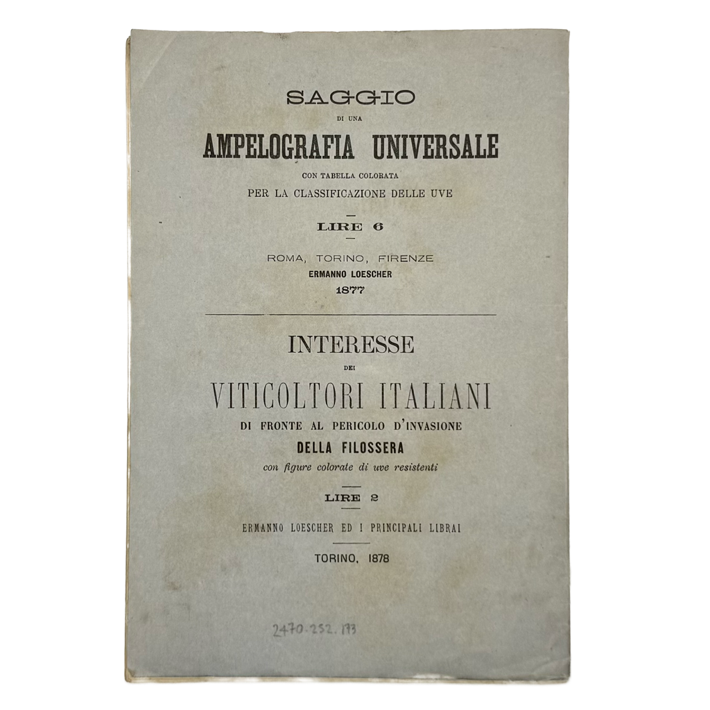 Sulla Filossera. Due Conferenze Tenutesi Nel Comizio Agrario Di Torino by Rovasenda, Giuseppe, a rare notable image of the 1879 - wine book.