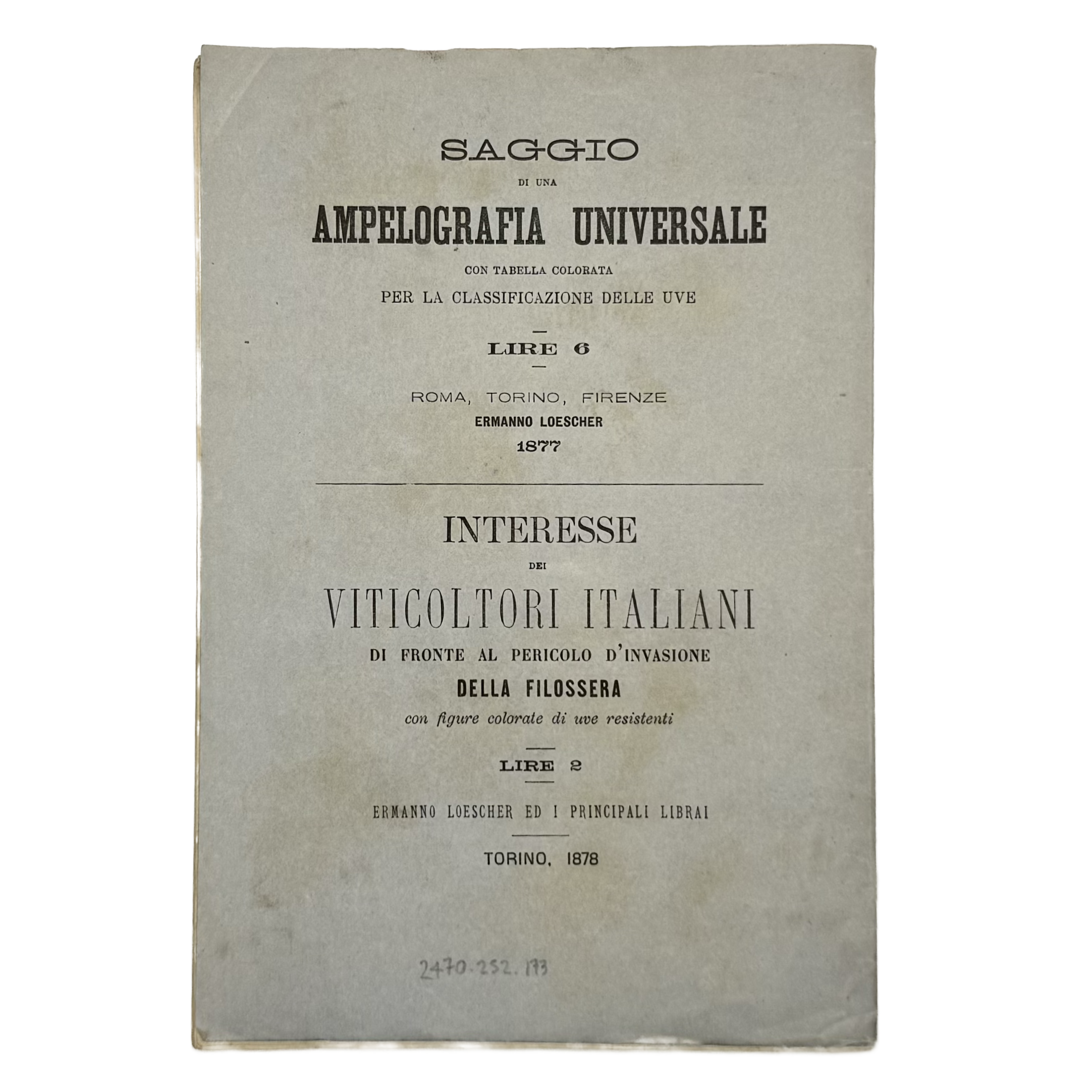 Sulla Filossera. Due Conferenze Tenutesi Nel Comizio Agrario Di Torino by Rovasenda, Giuseppe, a rare notable image of the 1879 - wine book.