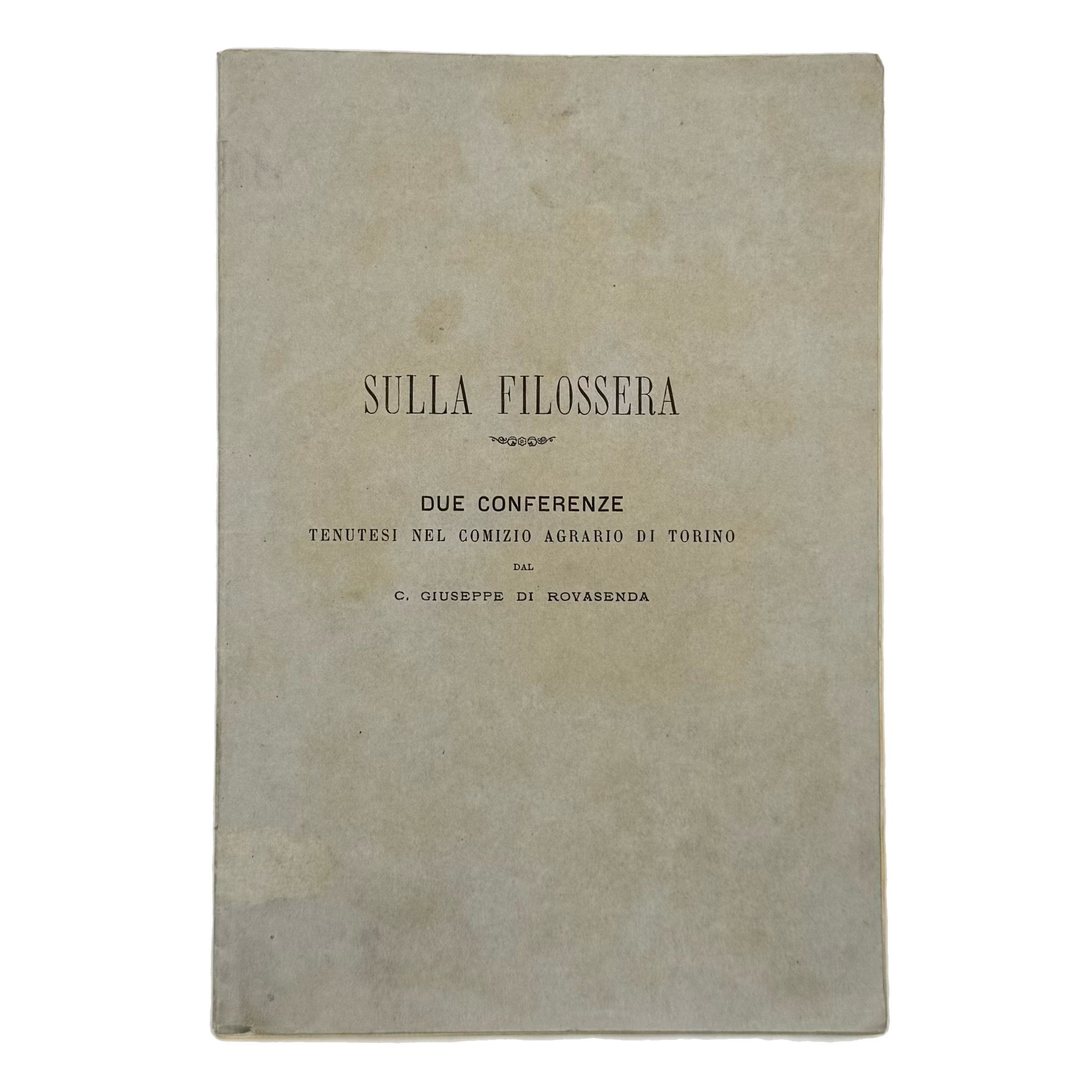 Sulla Filossera. Due Conferenze Tenutesi Nel Comizio Agrario Di Torino by Rovasenda, Giuseppe, a rare highlighted image of the 1879 - wine book.
