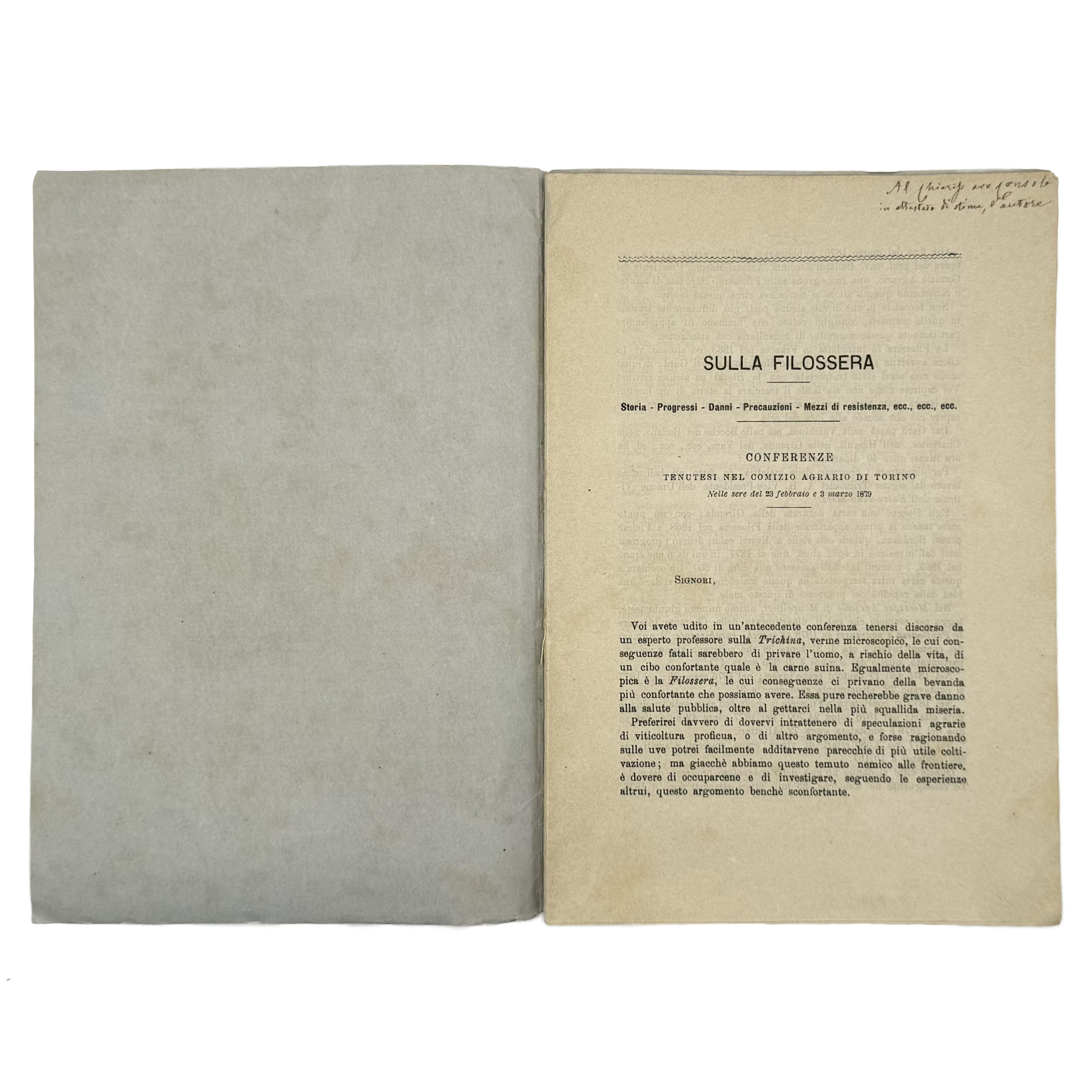 Sulla Filossera. Due Conferenze Tenutesi Nel Comizio Agrario Di Torino by Rovasenda, Giuseppe, a rare sample view of the 1879 - wine book.