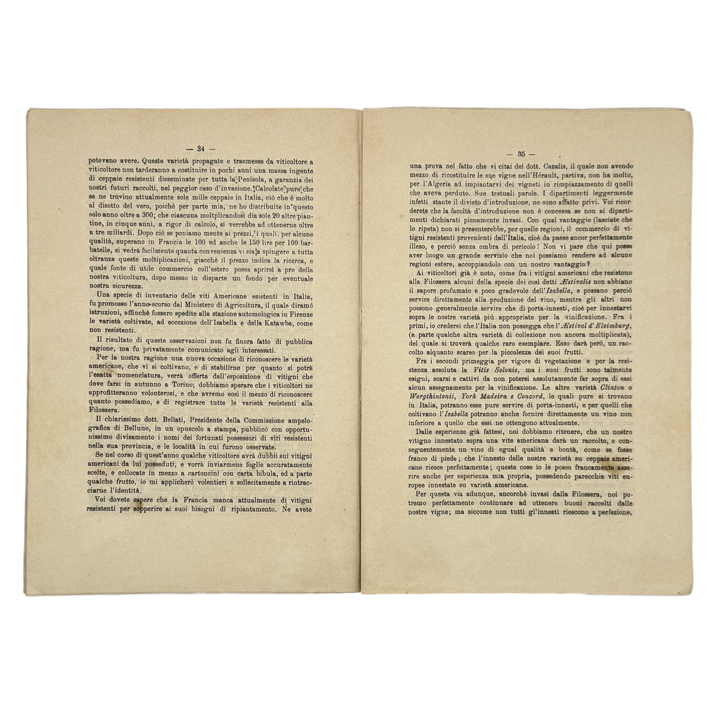 Sulla Filossera. Due Conferenze Tenutesi Nel Comizio Agrario Di Torino by Rovasenda, Giuseppe, a rare illustrated detail of the 1879 - wine book.