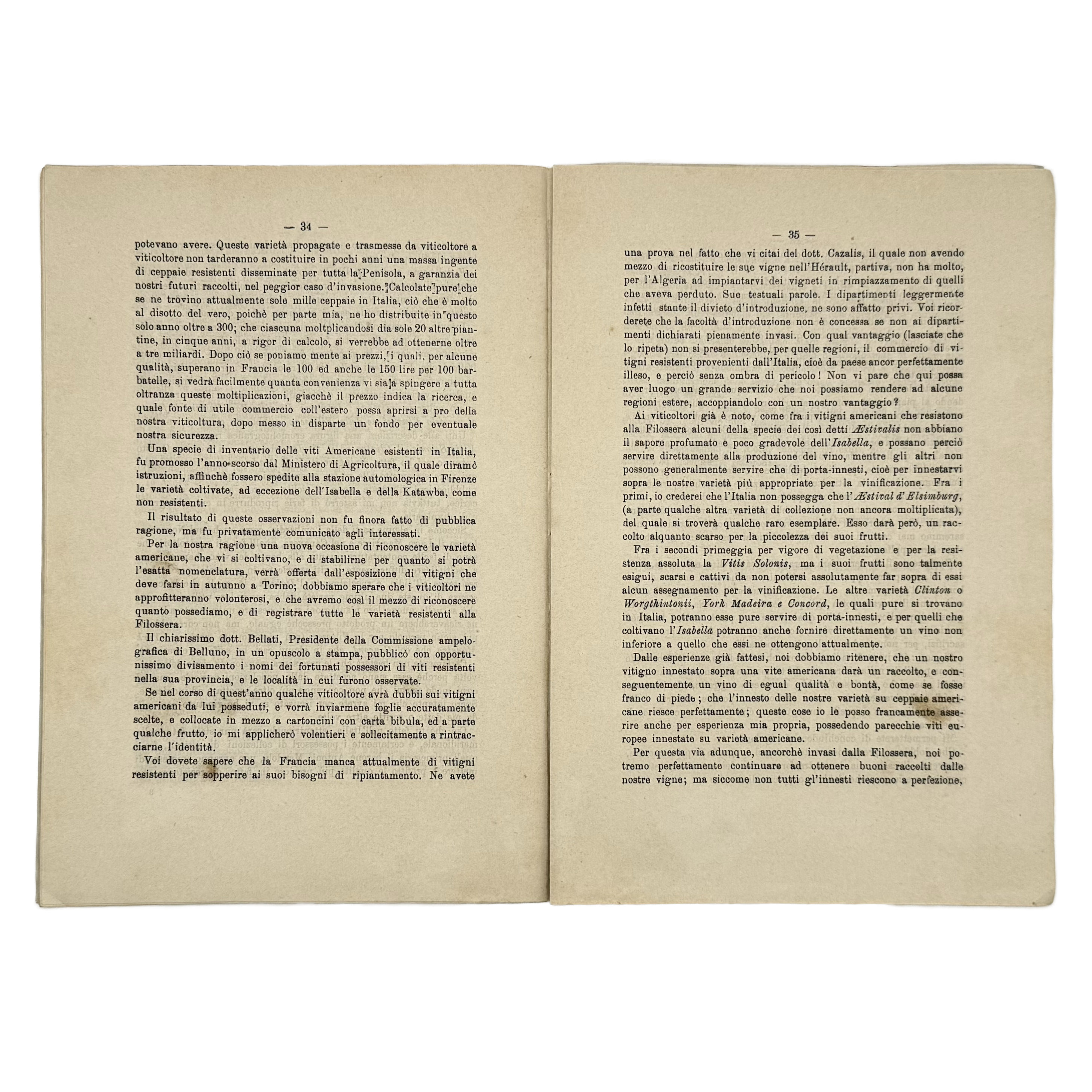 Sulla Filossera. Due Conferenze Tenutesi Nel Comizio Agrario Di Torino by Rovasenda, Giuseppe, a rare illustrated detail of the 1879 - wine book.