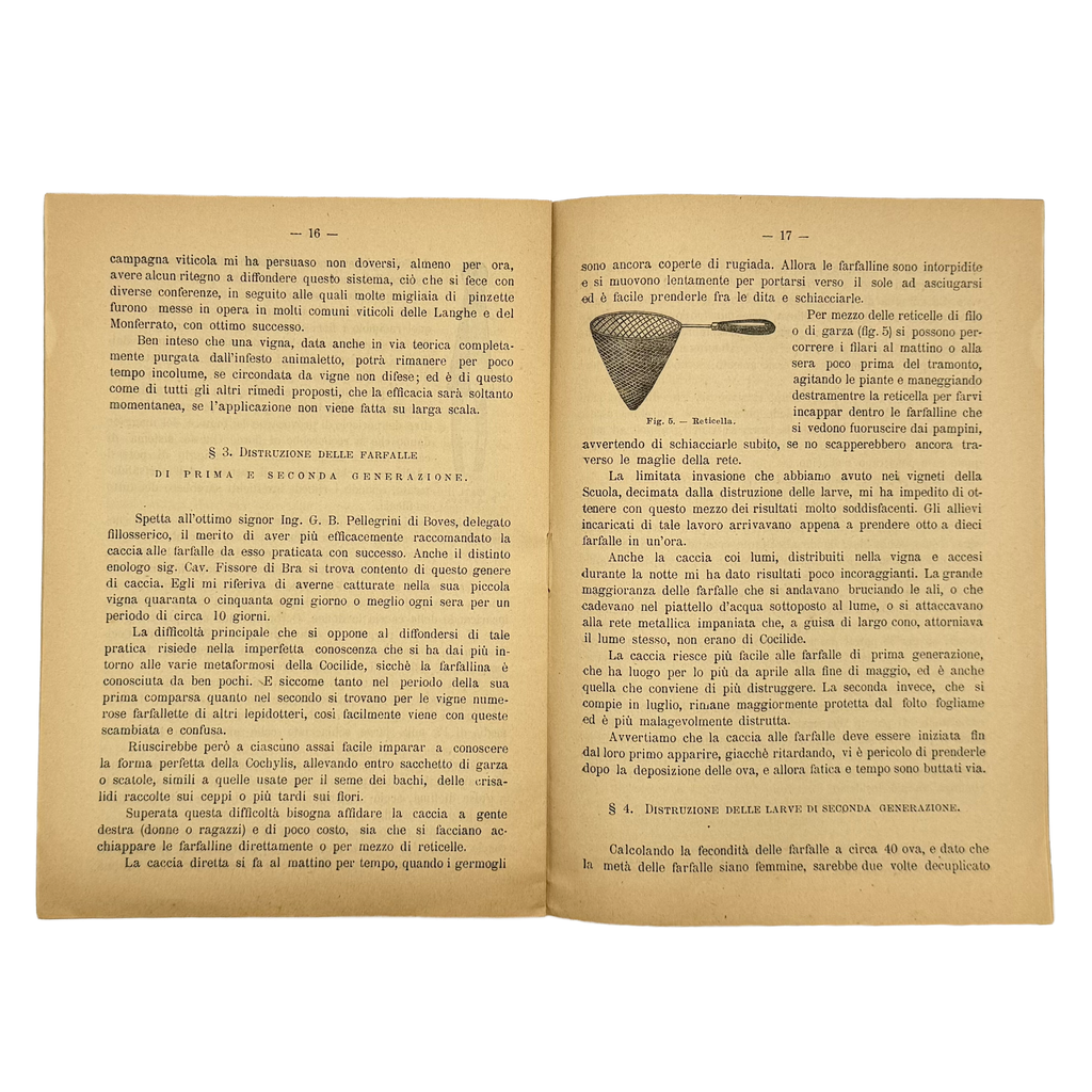 La Lotta Contro La Tignola Dell'Uva by Cavazza, Domizio, a rare captivating detail of the 1891 - wine book.