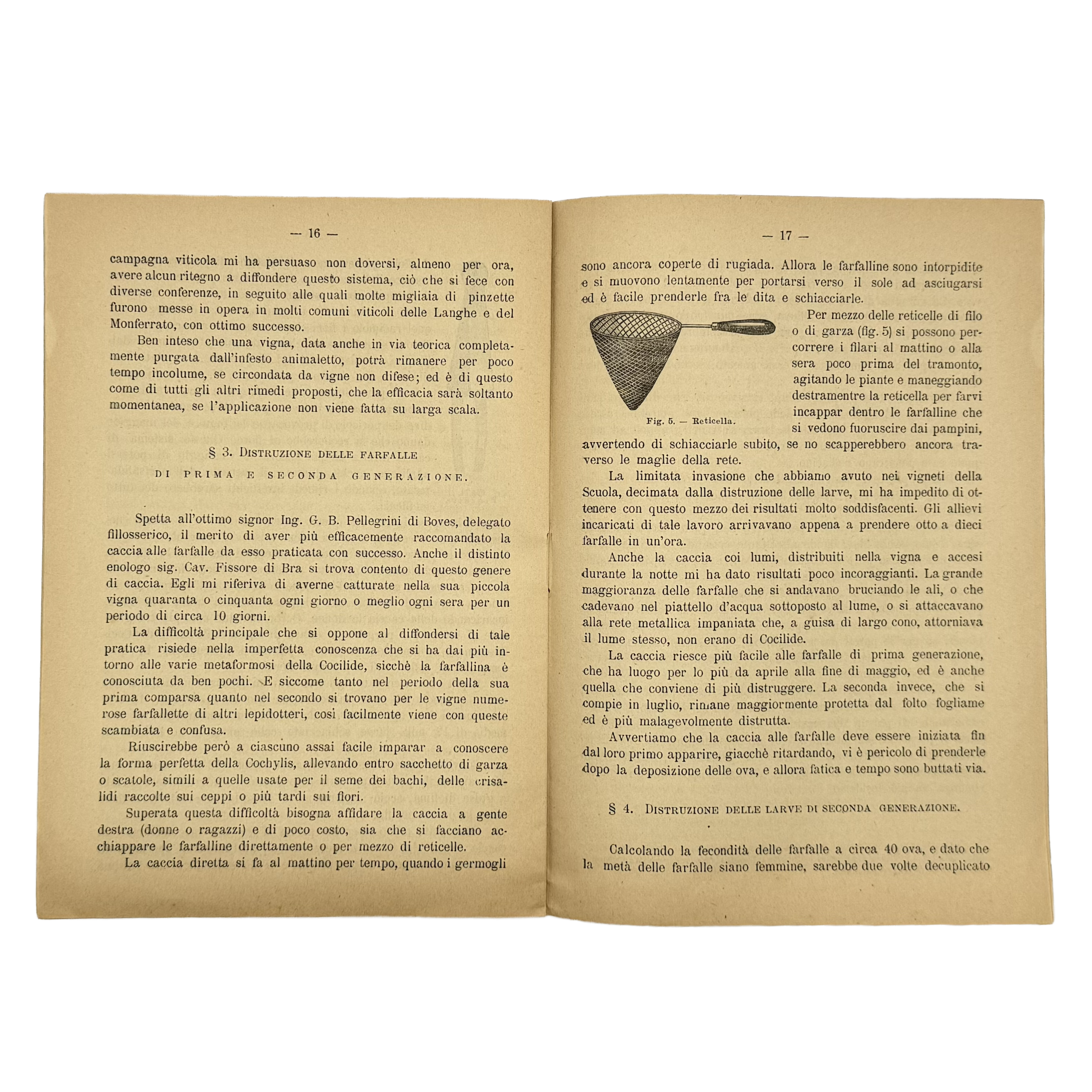 La Lotta Contro La Tignola Dell'Uva by Cavazza, Domizio, a rare captivating detail of the 1891 - wine book.