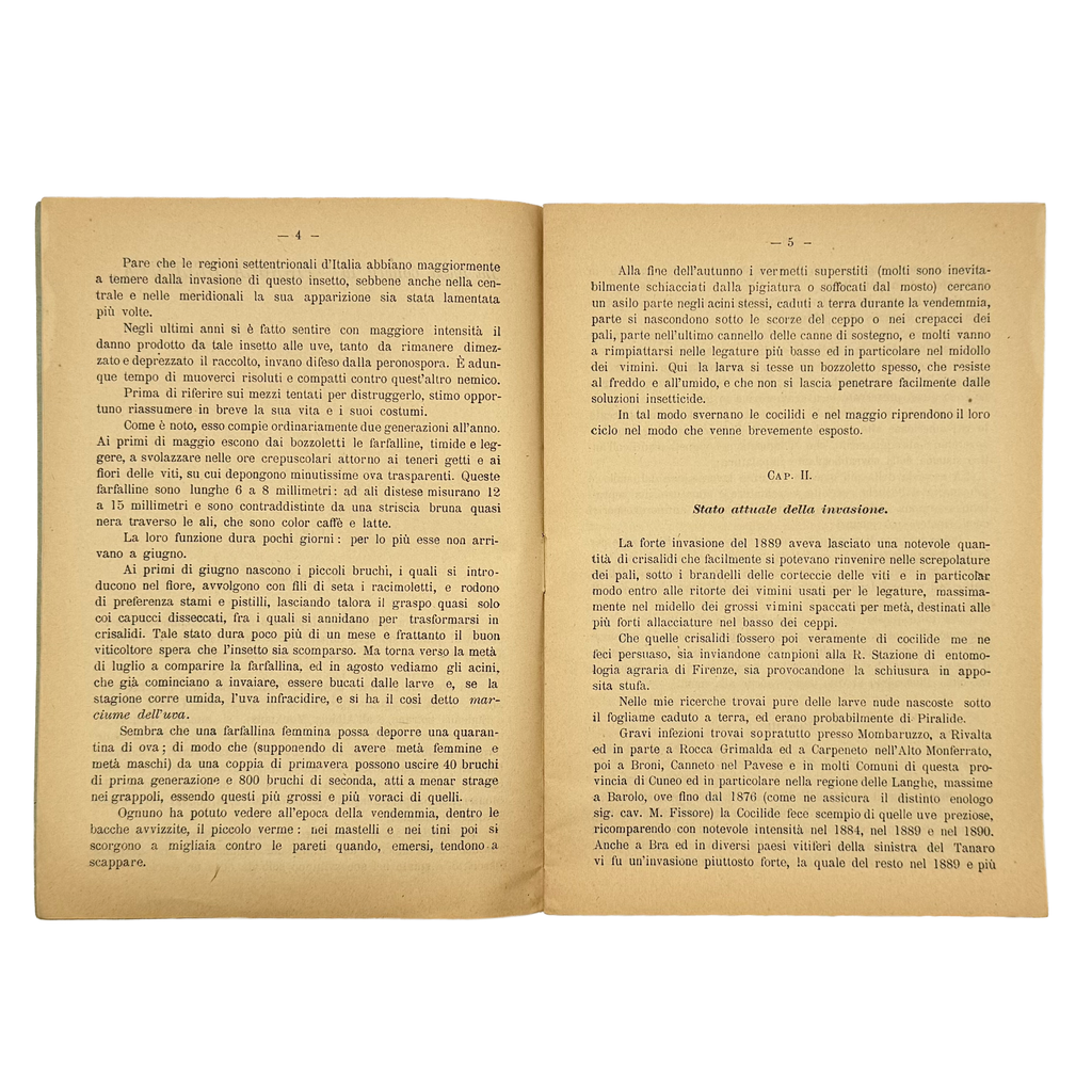 La Lotta Contro La Tignola Dell'Uva by Cavazza, Domizio, a rare highlight from the volume of the 1891 - wine book.
