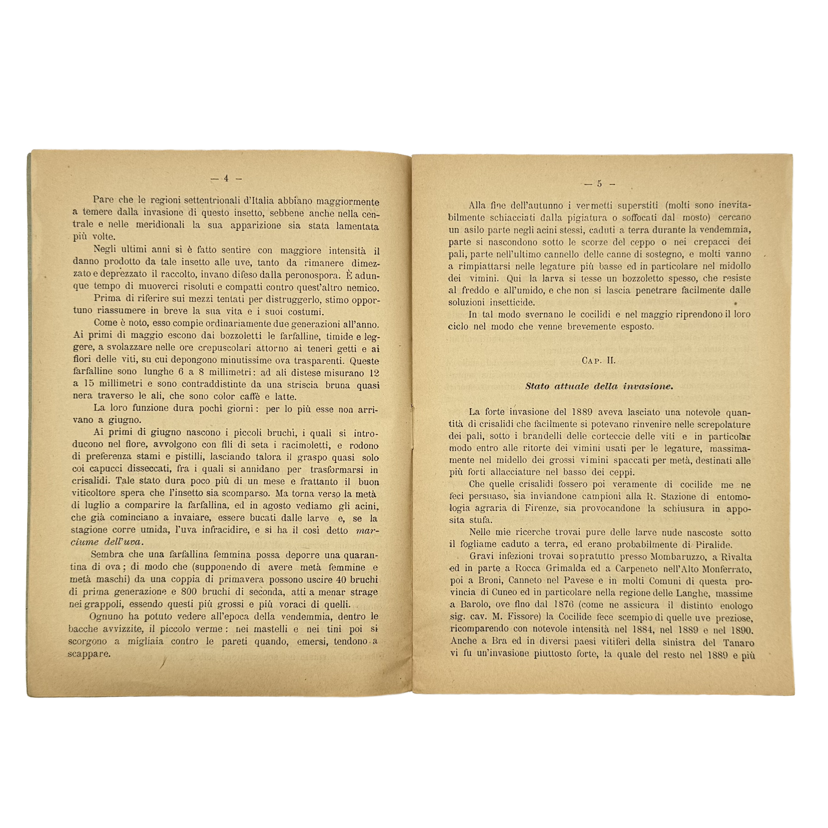 La Lotta Contro La Tignola Dell'Uva by Cavazza, Domizio, a rare highlight from the volume of the 1891 - wine book.